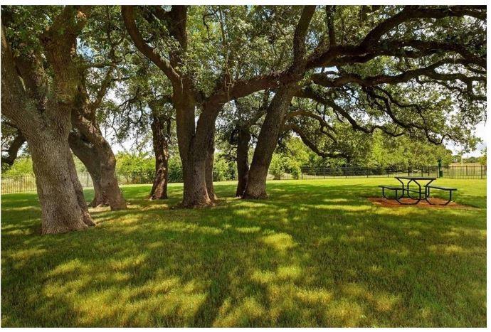 100 Constitution St, Liberty Hill, TX 78642