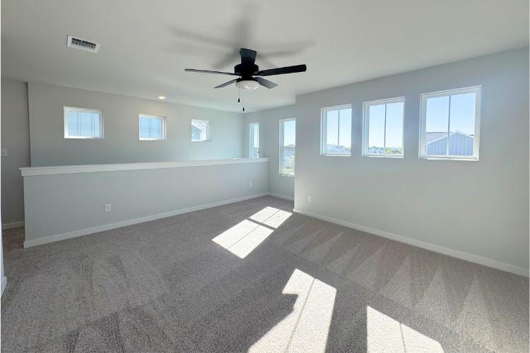 2030 Alice Jay Way, Round Rock, TX 78665