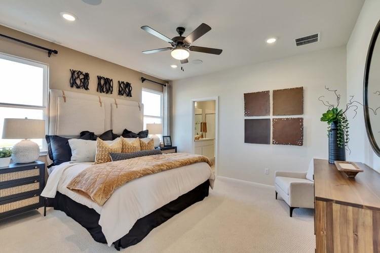 2420 Ekvall Dr, Round Rock, TX 78665