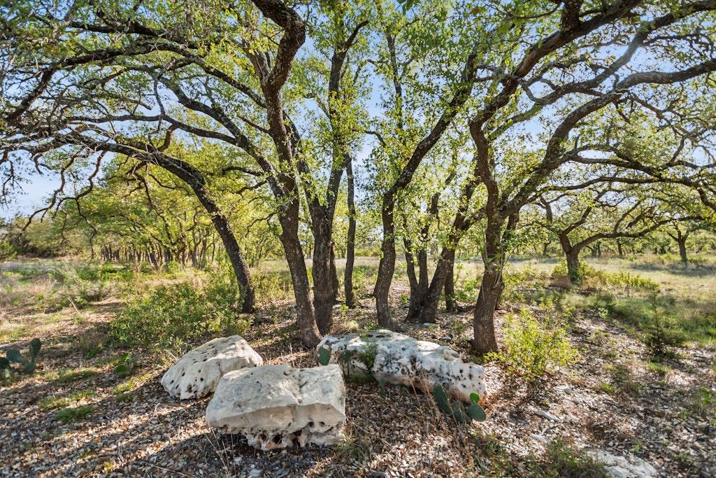 21411 Hamilton Pool Rd, Dripping Springs, TX 78620