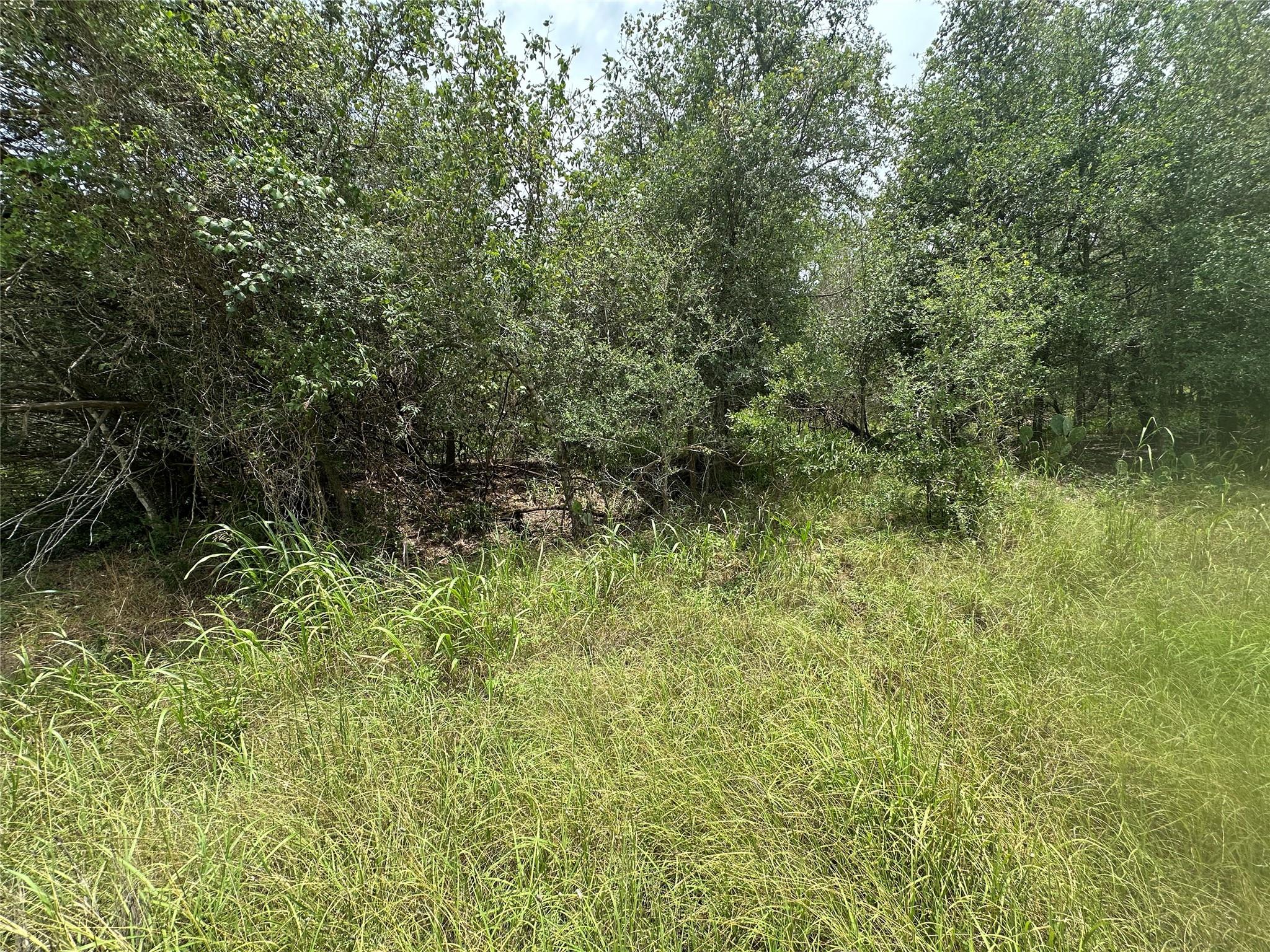 187 Puu Waa Waa Ln, Bastrop, TX 78602