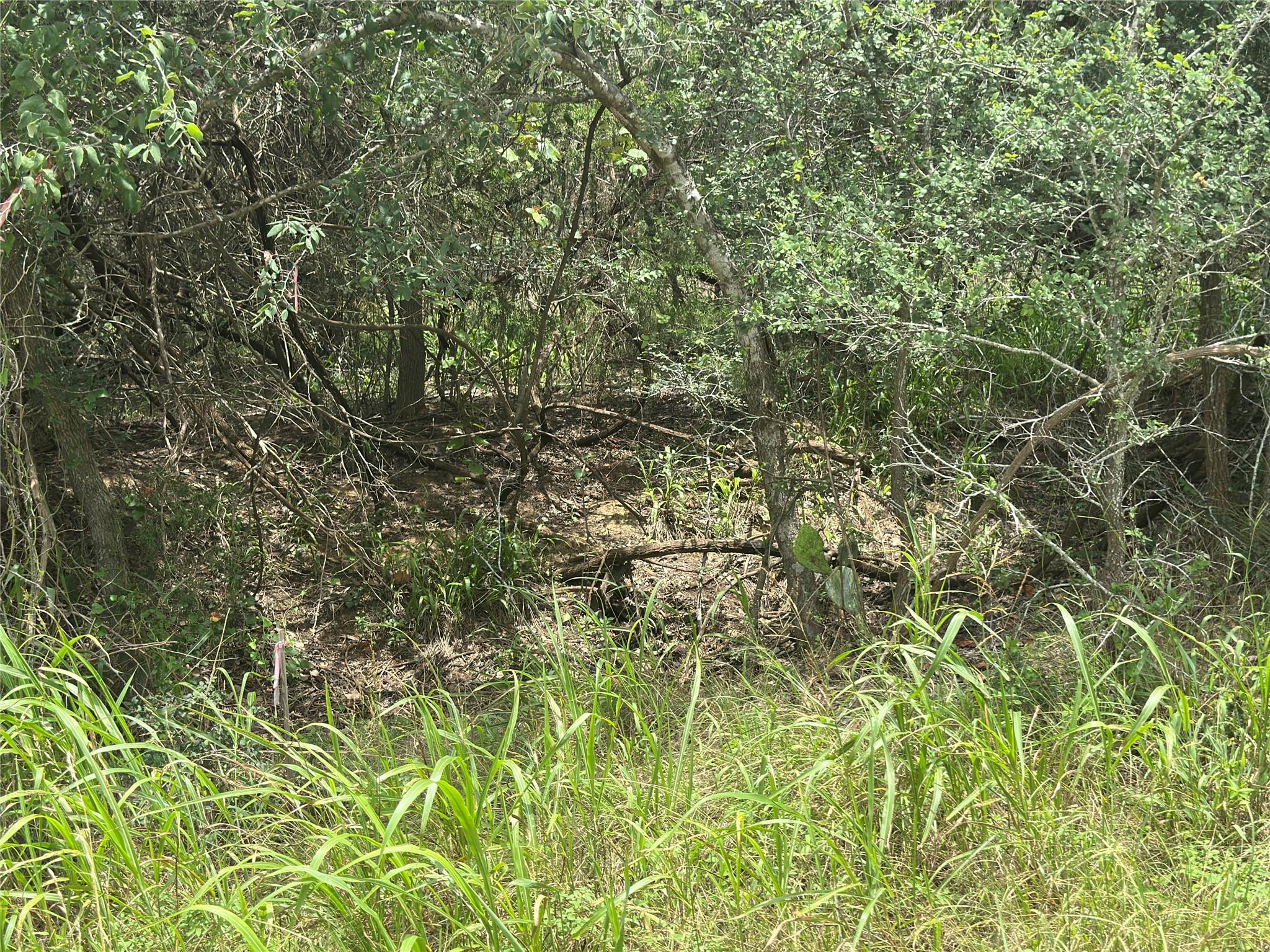 187 Puu Waa Waa Ln, Bastrop, TX 78602