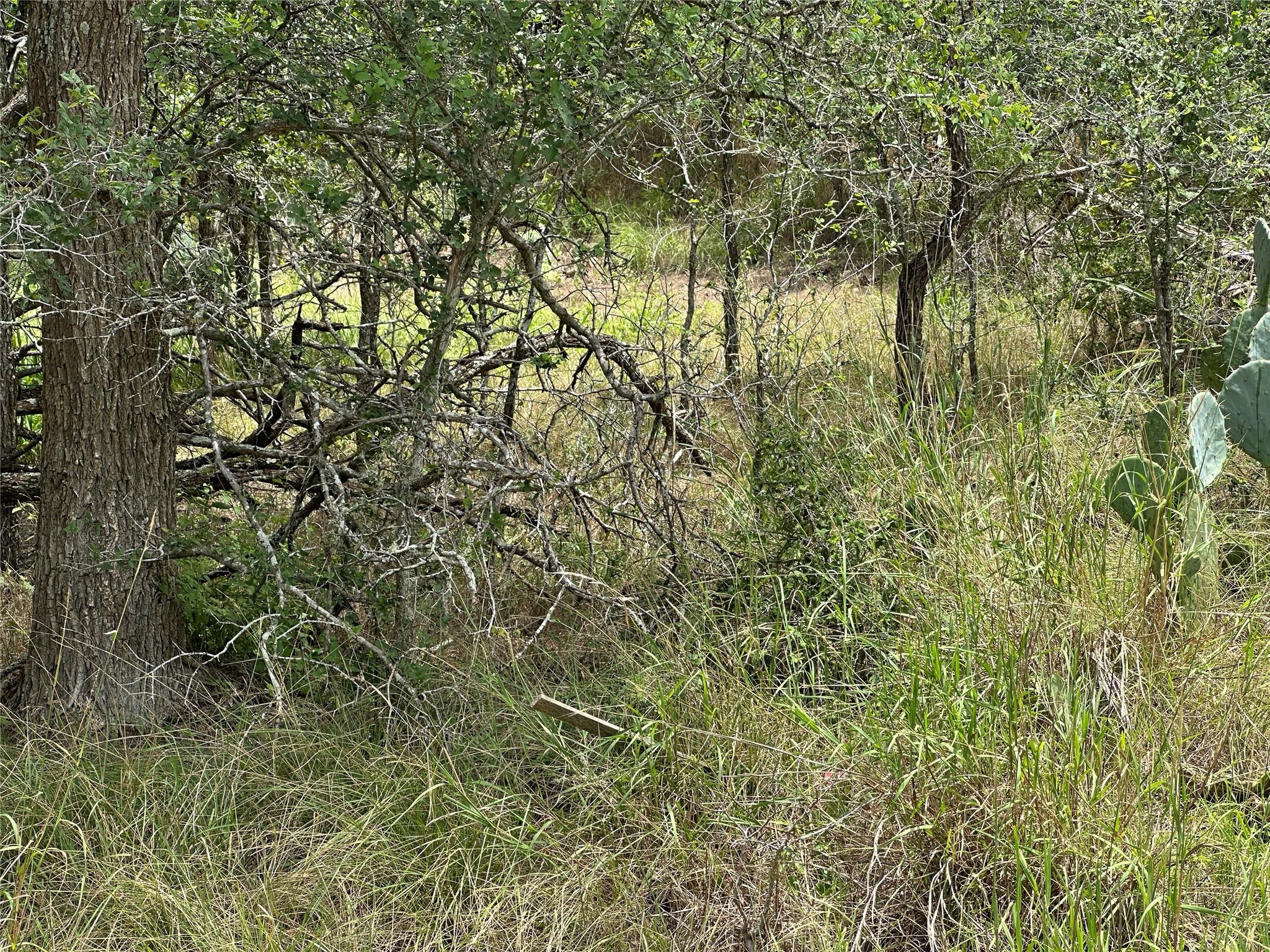 187 Puu Waa Waa Ln, Bastrop, TX 78602