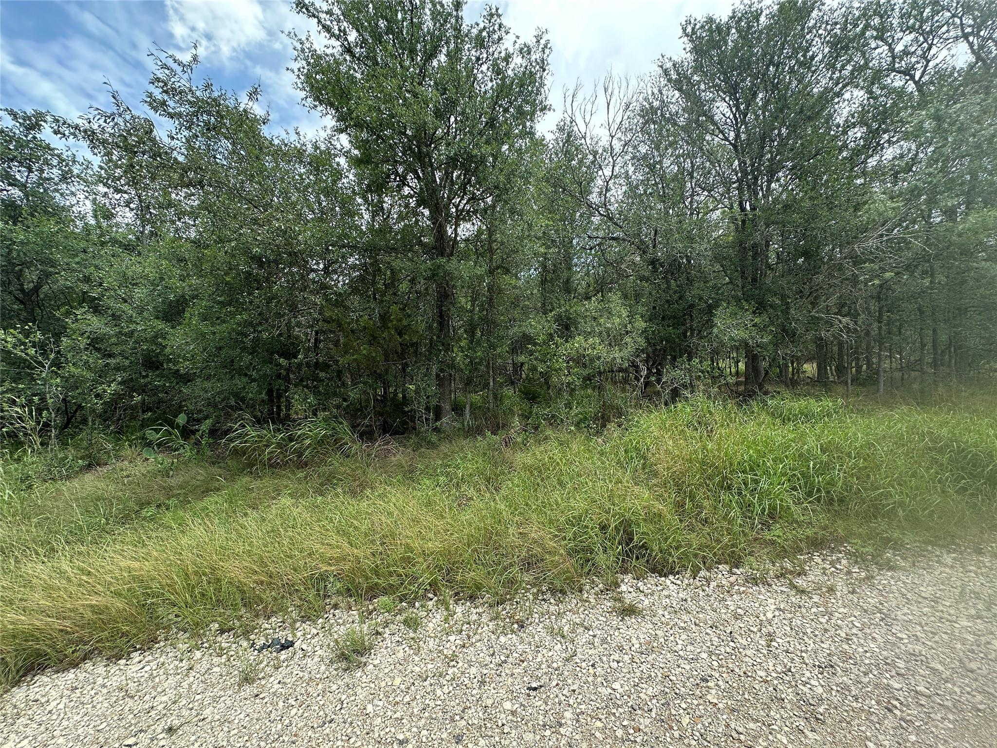 187 Puu Waa Waa Ln, Bastrop, TX 78602