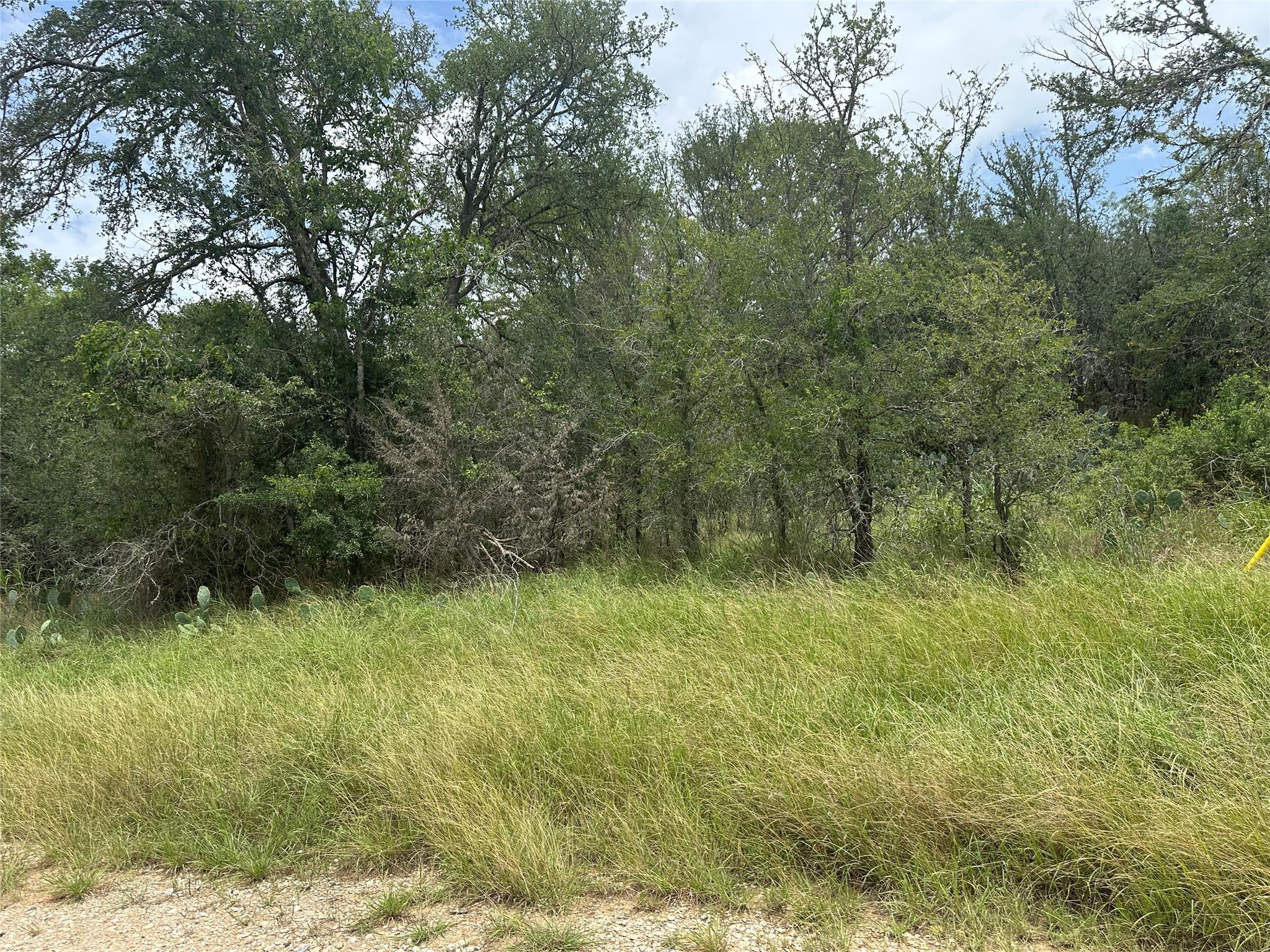 189 Puu Waa Waa Ln, Bastrop, TX 78602