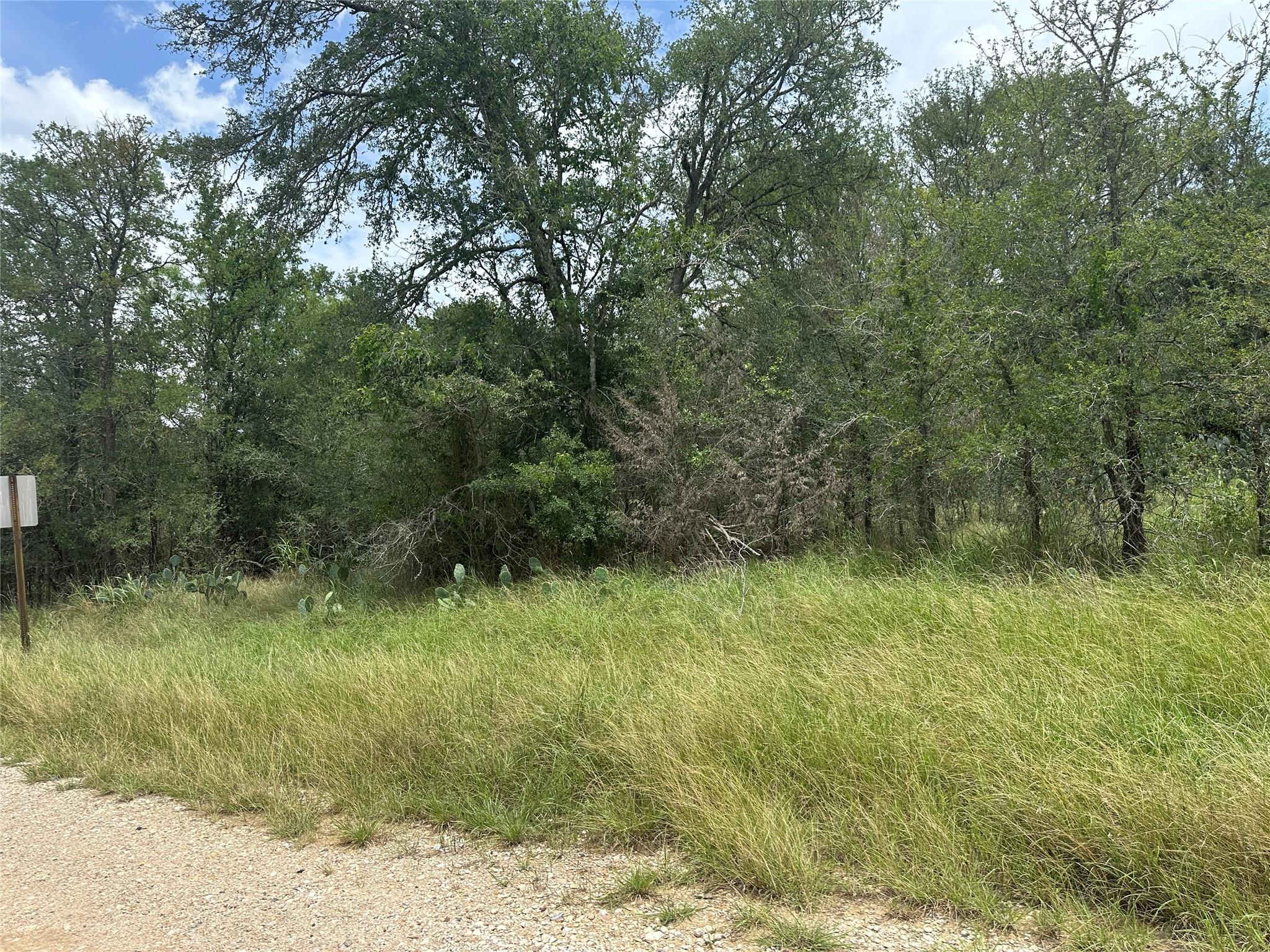 189 Puu Waa Waa Ln, Bastrop, TX 78602