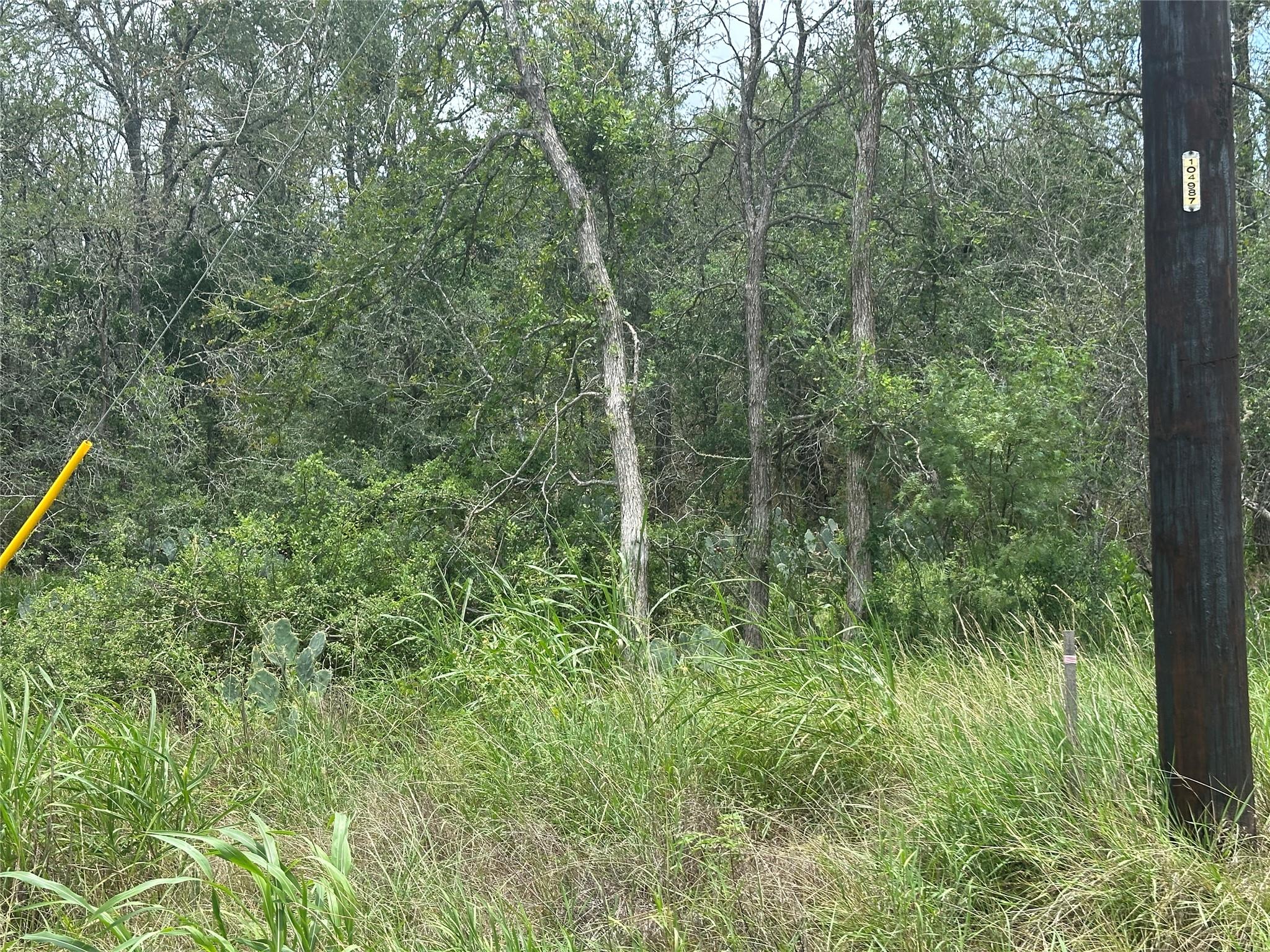 189 Puu Waa Waa Ln, Bastrop, TX 78602