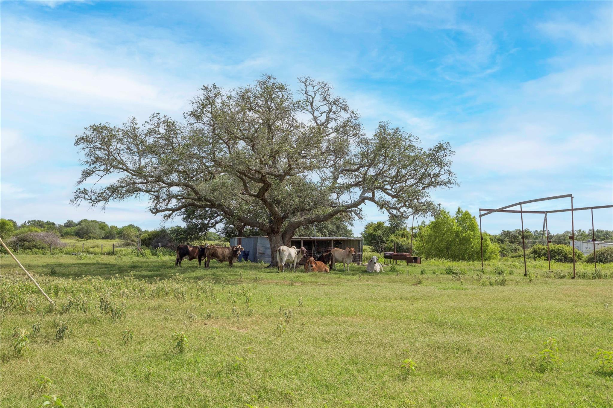 02 CR 214, Hallettsville, TX 77964