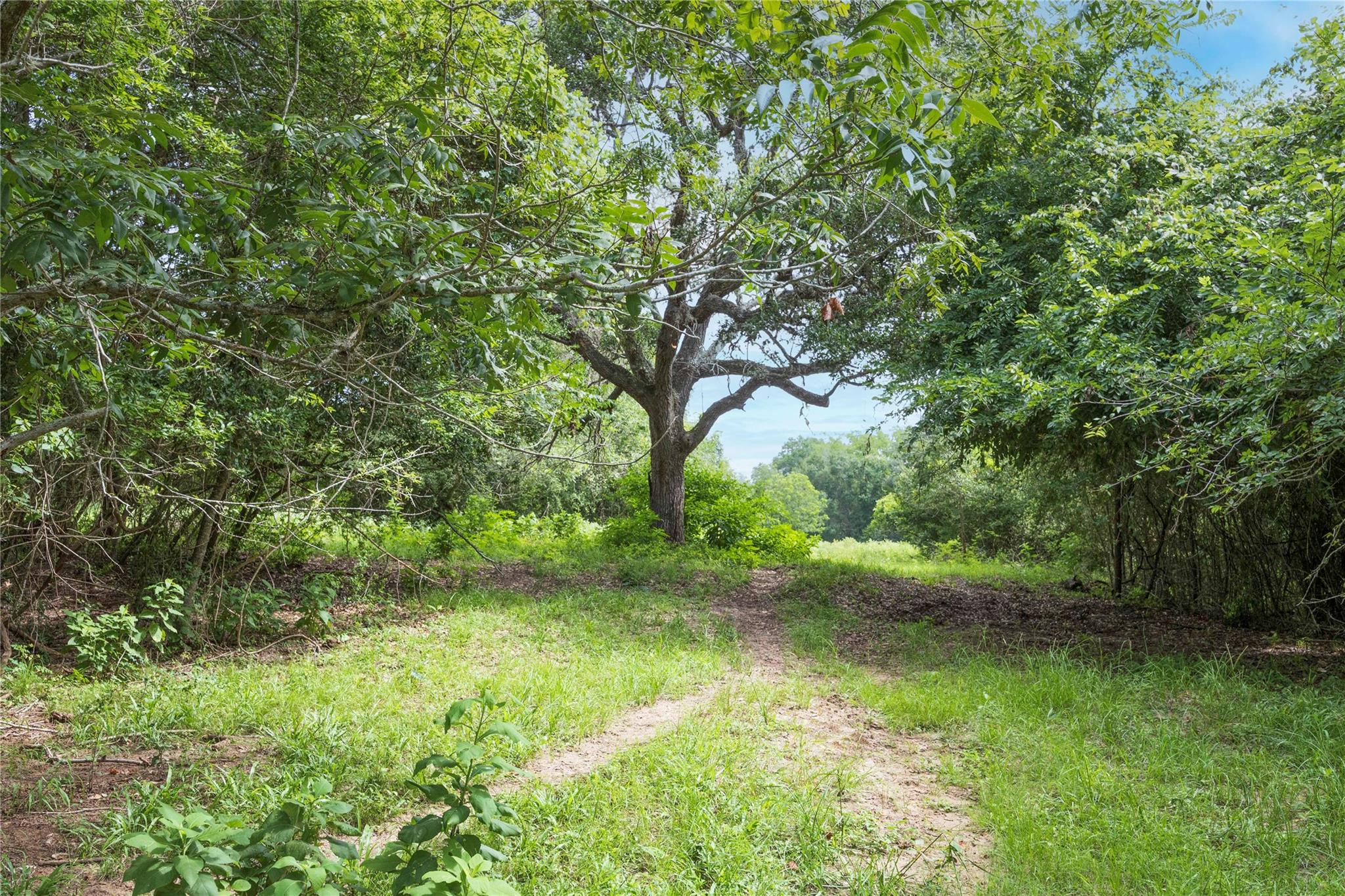 03 CR 214, Hallettsville, TX 77964