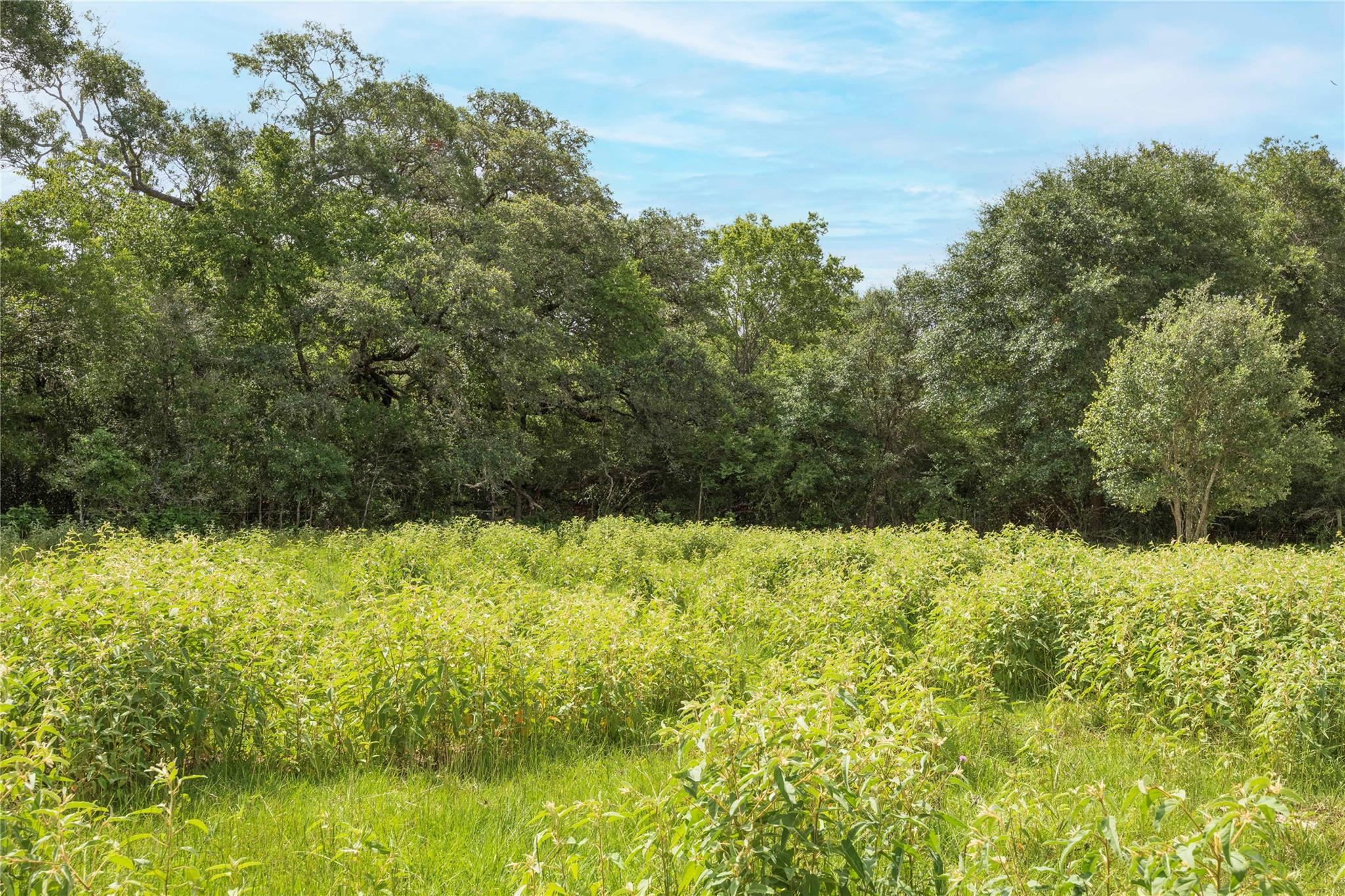 05 CR 212, Hallettsville, TX 77964