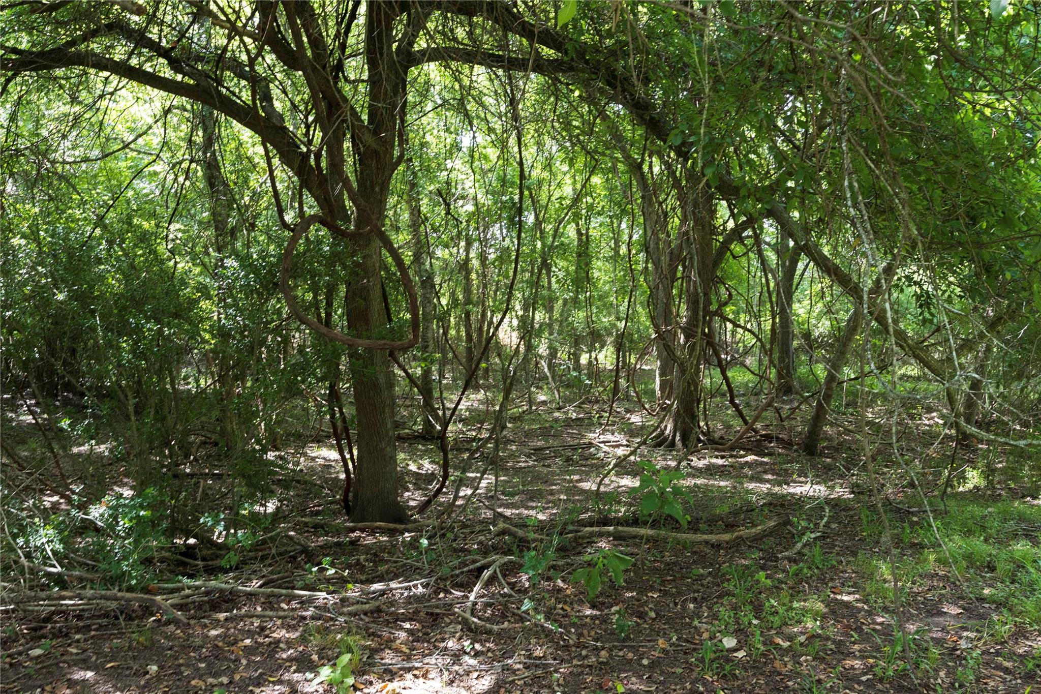 05 CR 212, Hallettsville, TX 77964