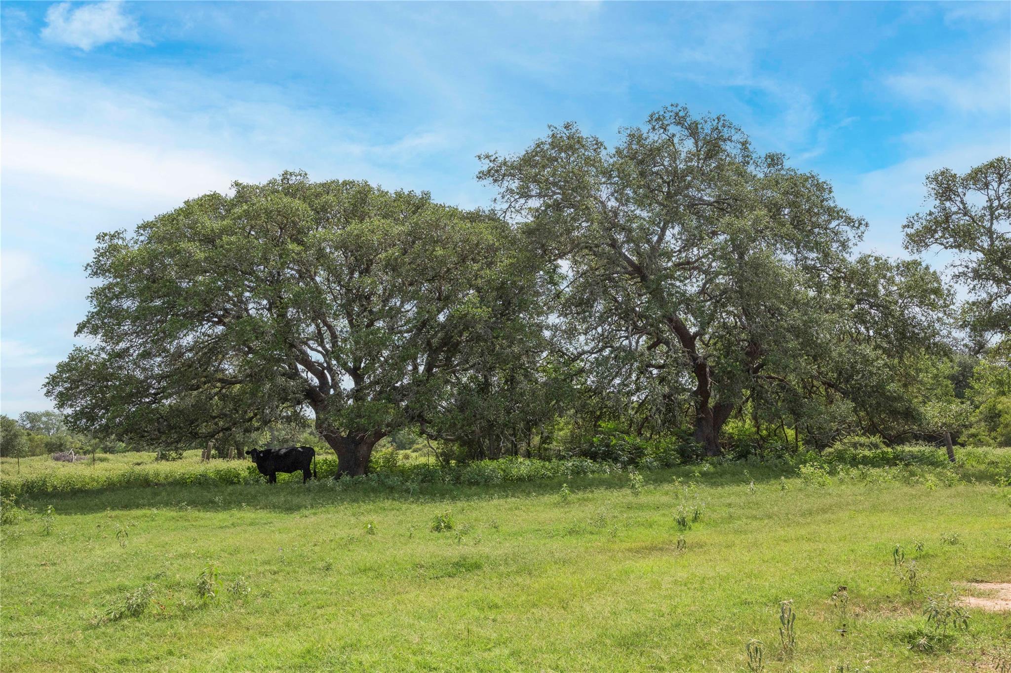 05 CR 212, Hallettsville, TX 77964