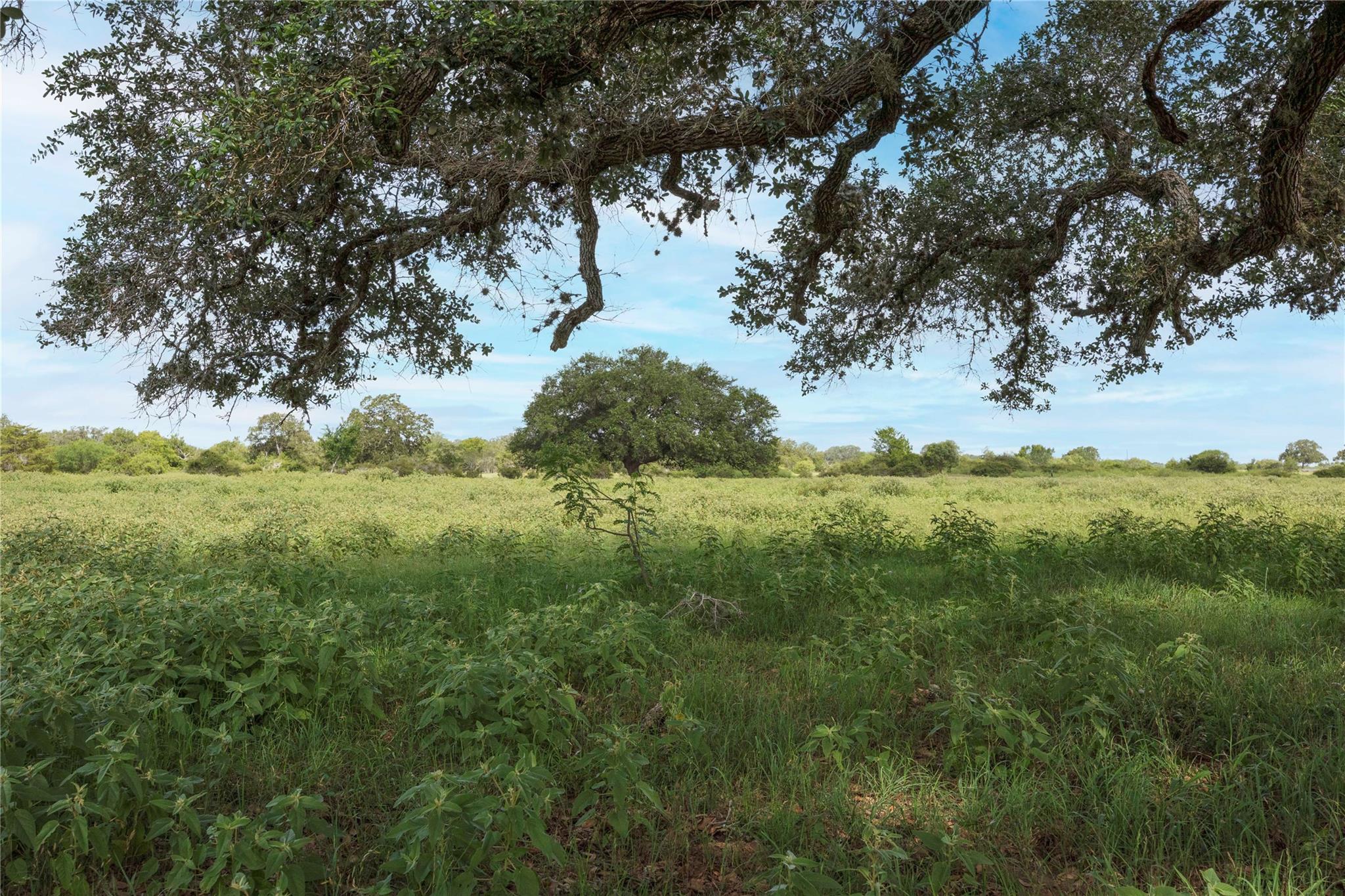 05 CR 212, Hallettsville, TX 77964