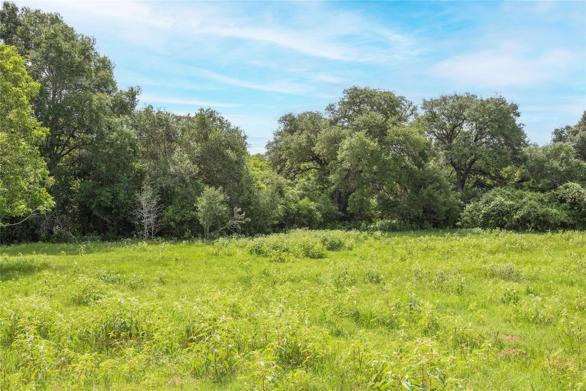 06 CR 212, Hallettsville, TX 77964