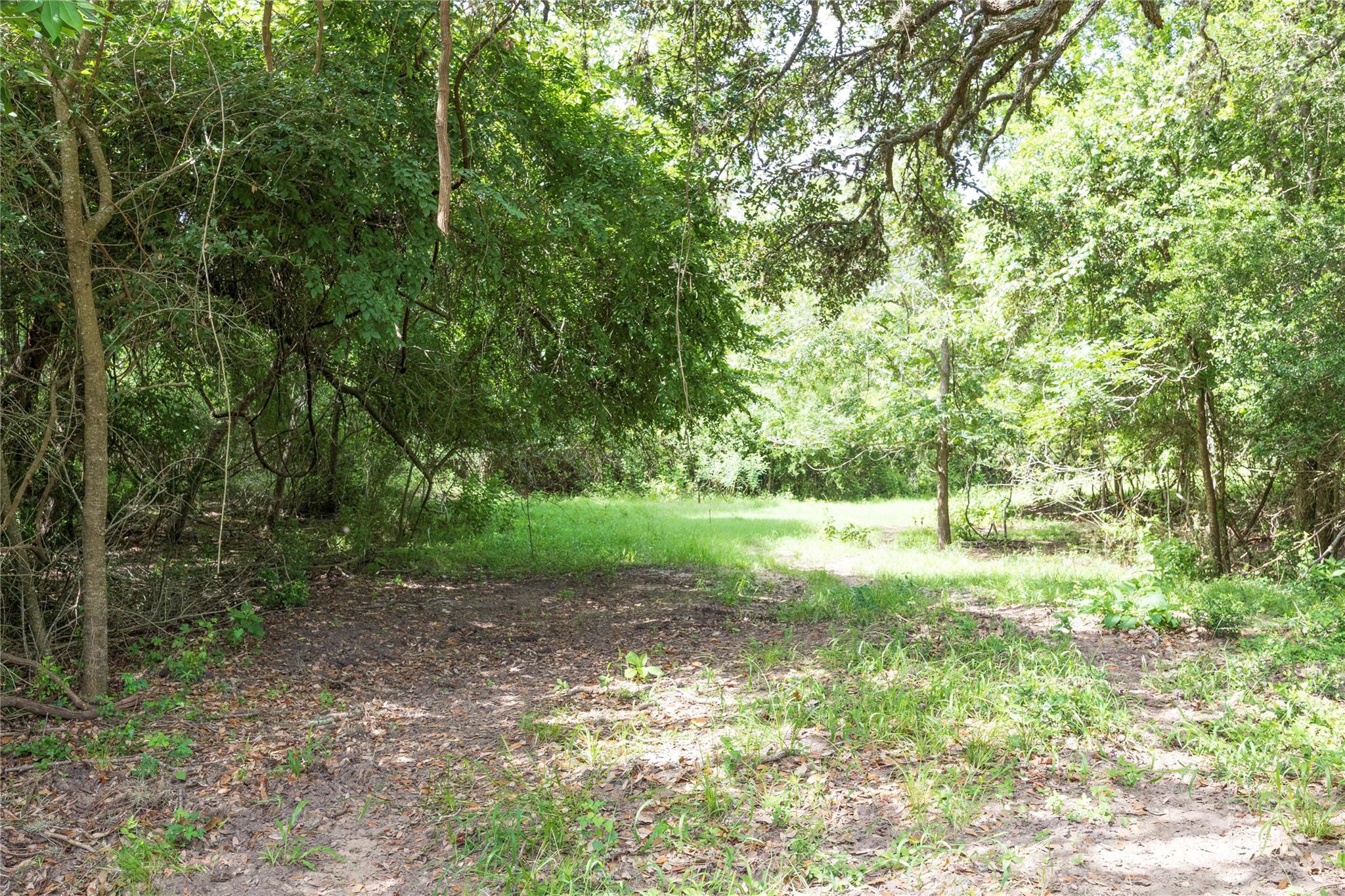 06 CR 212, Hallettsville, TX 77964