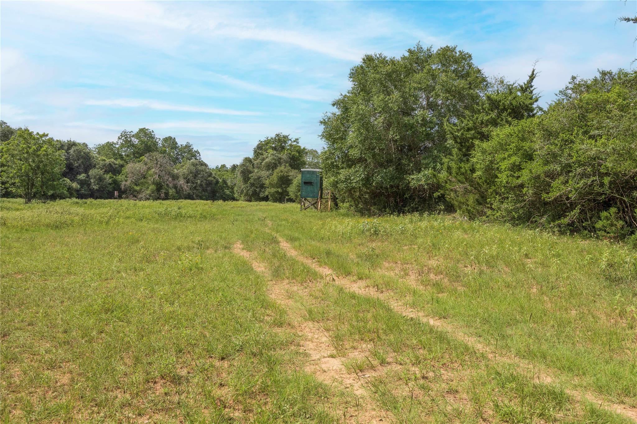 06 CR 212, Hallettsville, TX 77964