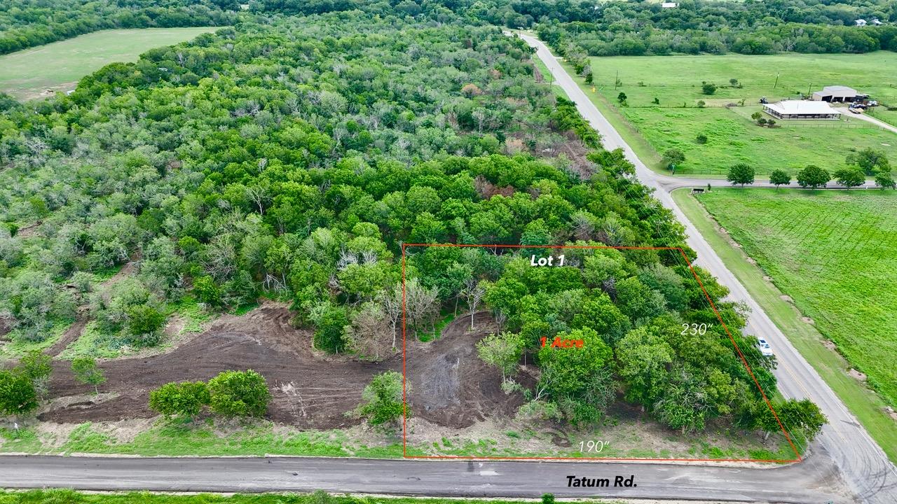 Lot 1 - TBD Tatum Rd, Martindale, TX 78655
