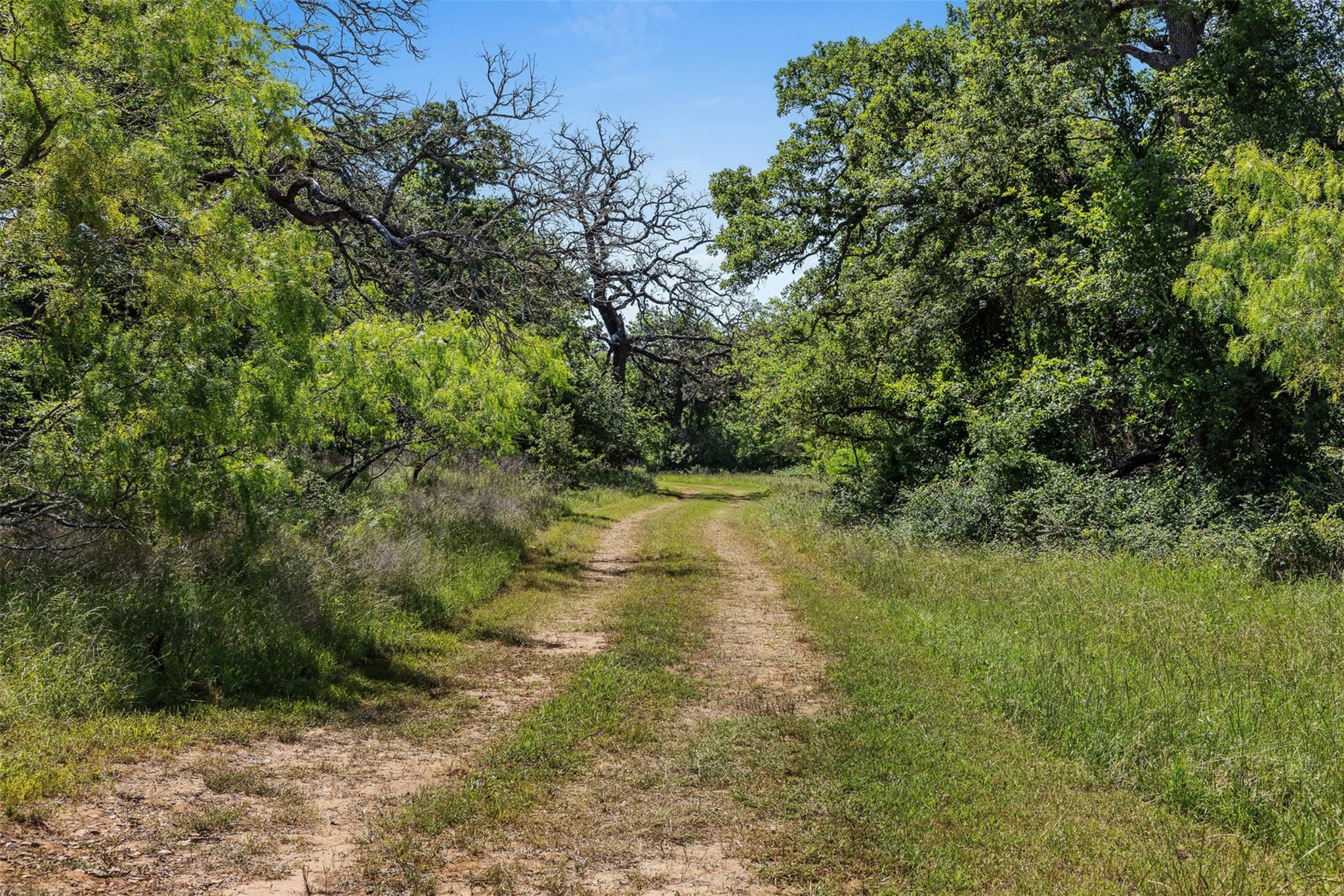 Lot 3 TBD Farm RD 2027, Cameron, TX 76520