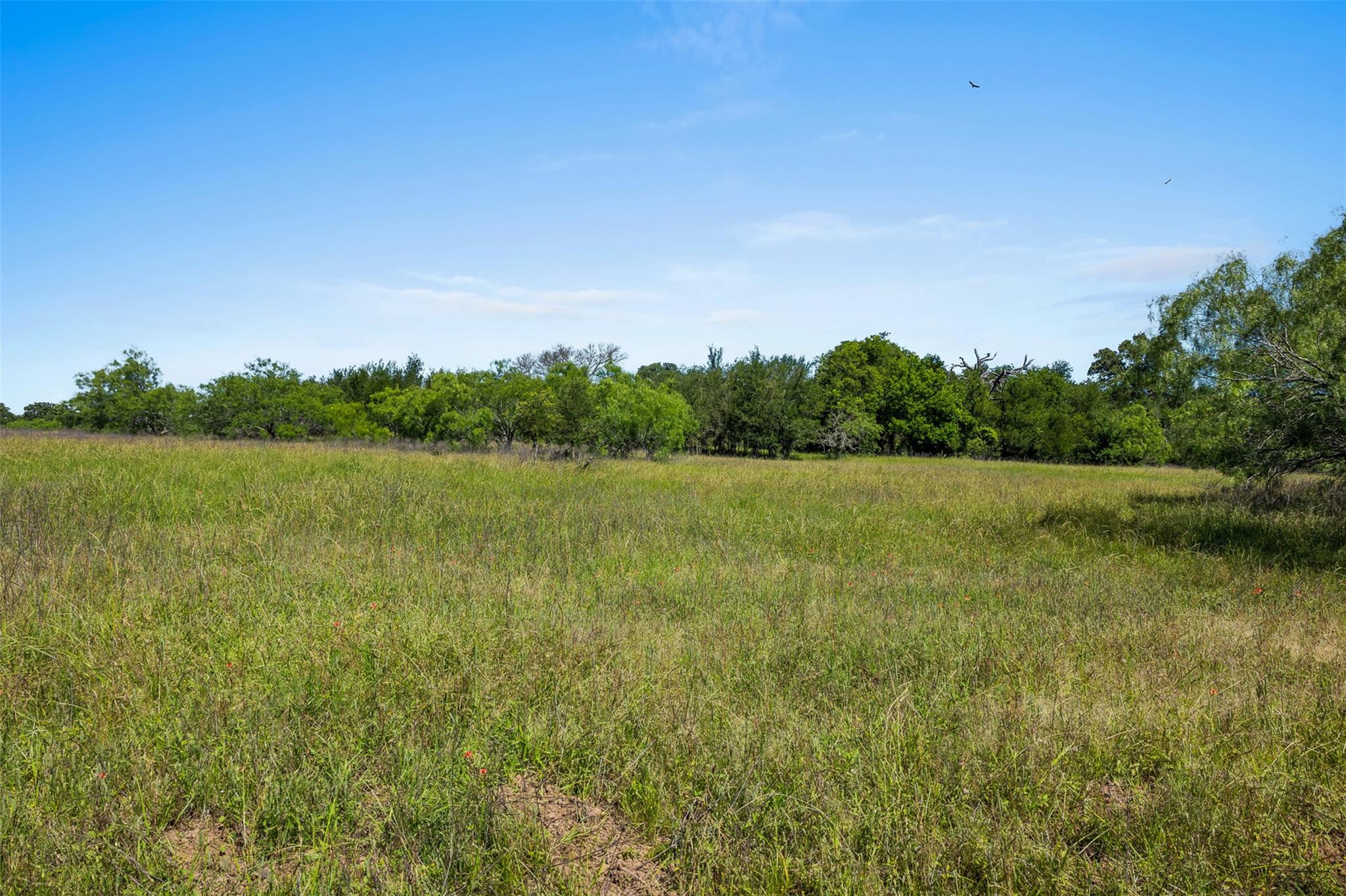 Lot 3 TBD Farm RD 2027, Cameron, TX 76520