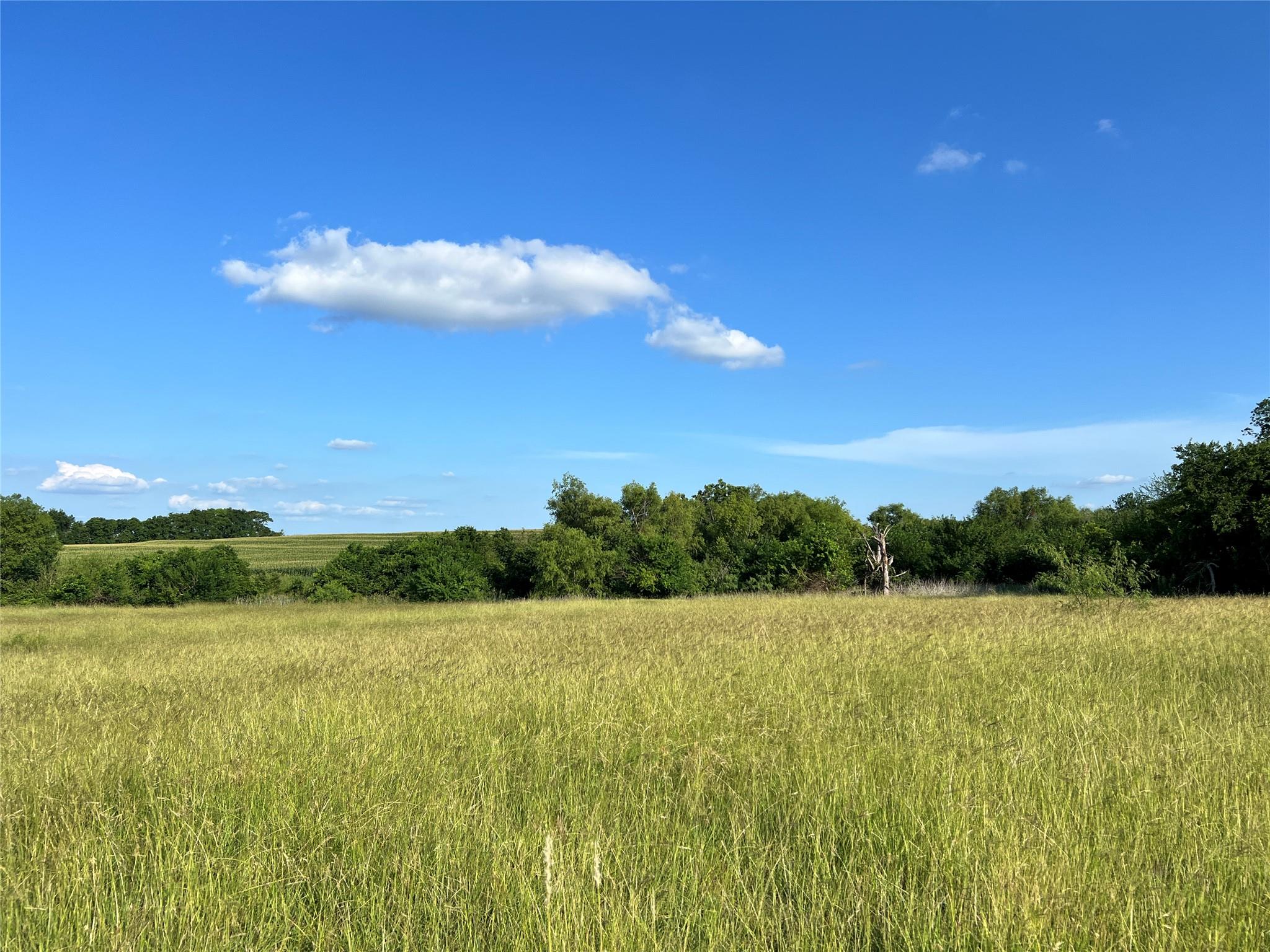 TBD Pecan (Tract 4) Rd, Temple, TX 76579