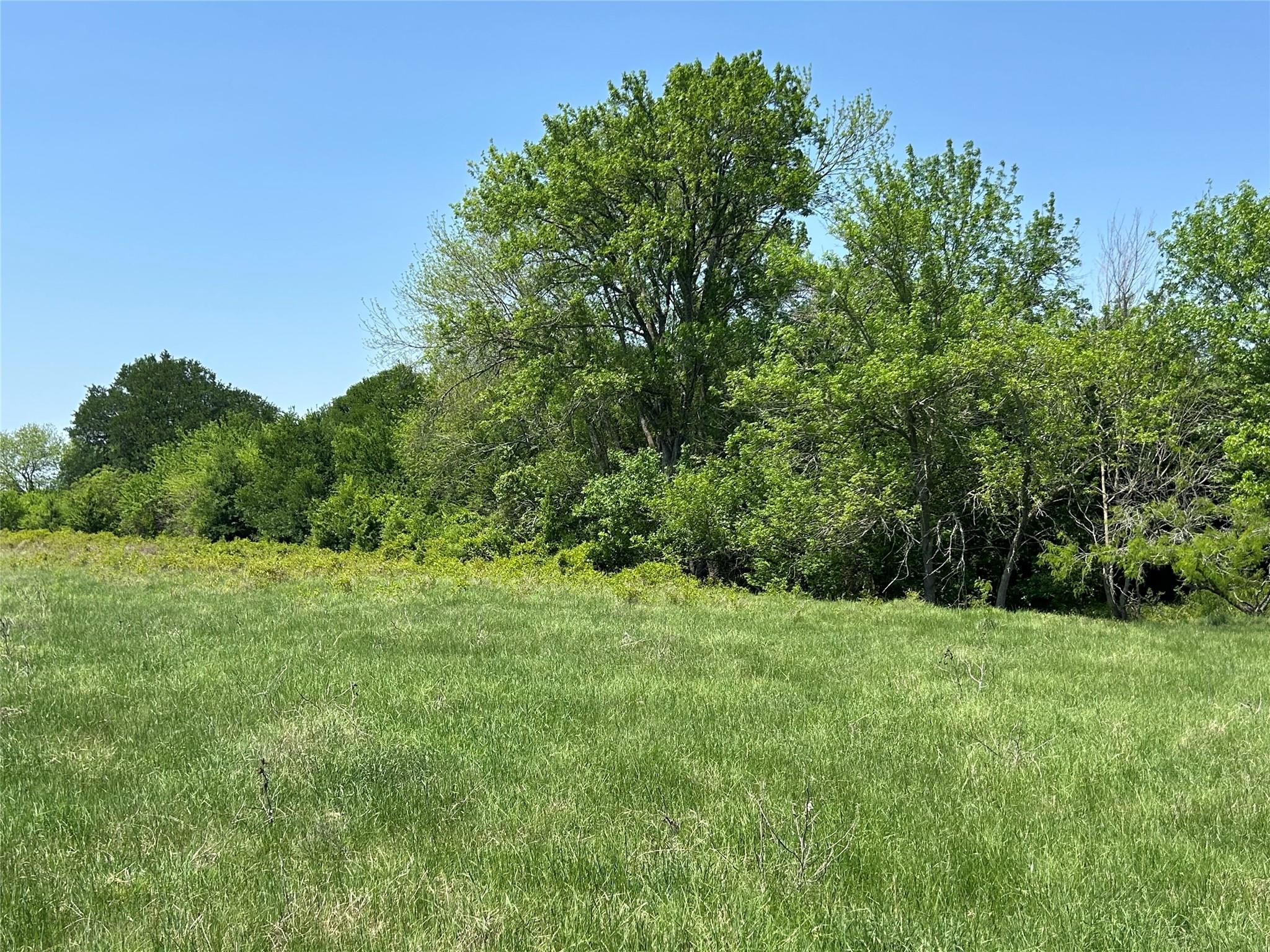 TBD Pecan (Tract 4) Rd, Temple, TX 76579