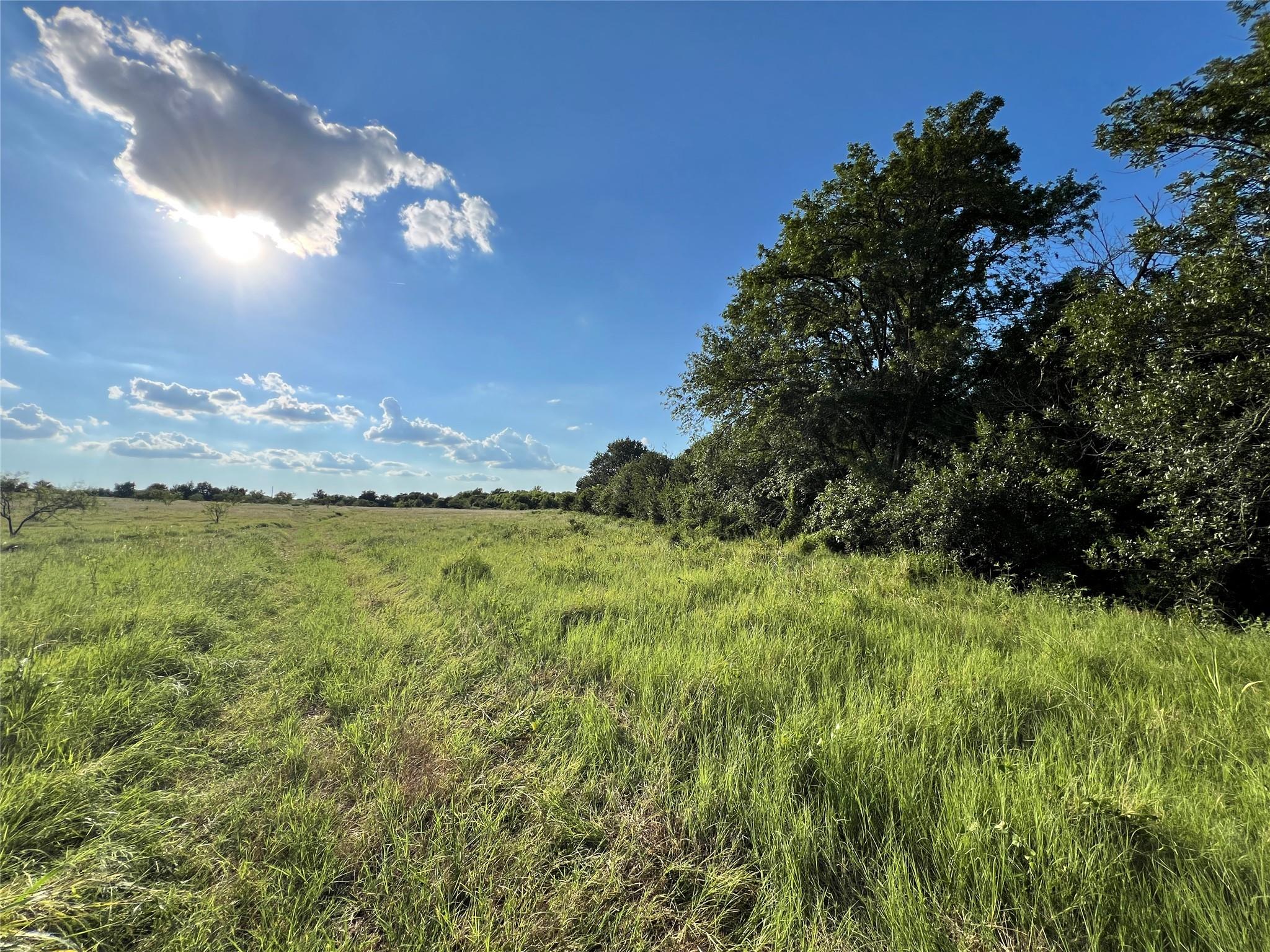 TBD Pecan (Tract 4) Rd, Temple, TX 76579