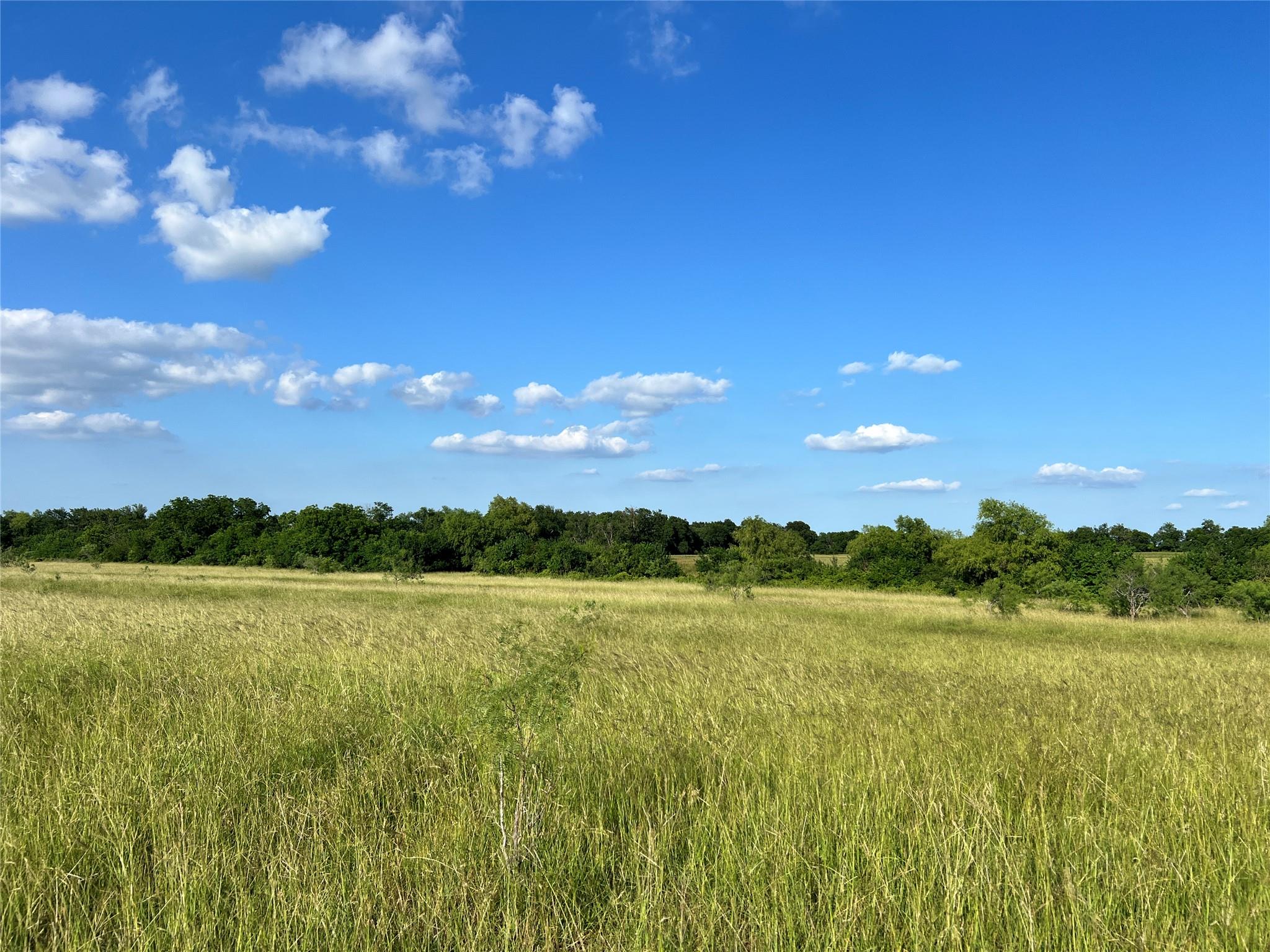TBD Pecan (Tract 4) Rd, Temple, TX 76579