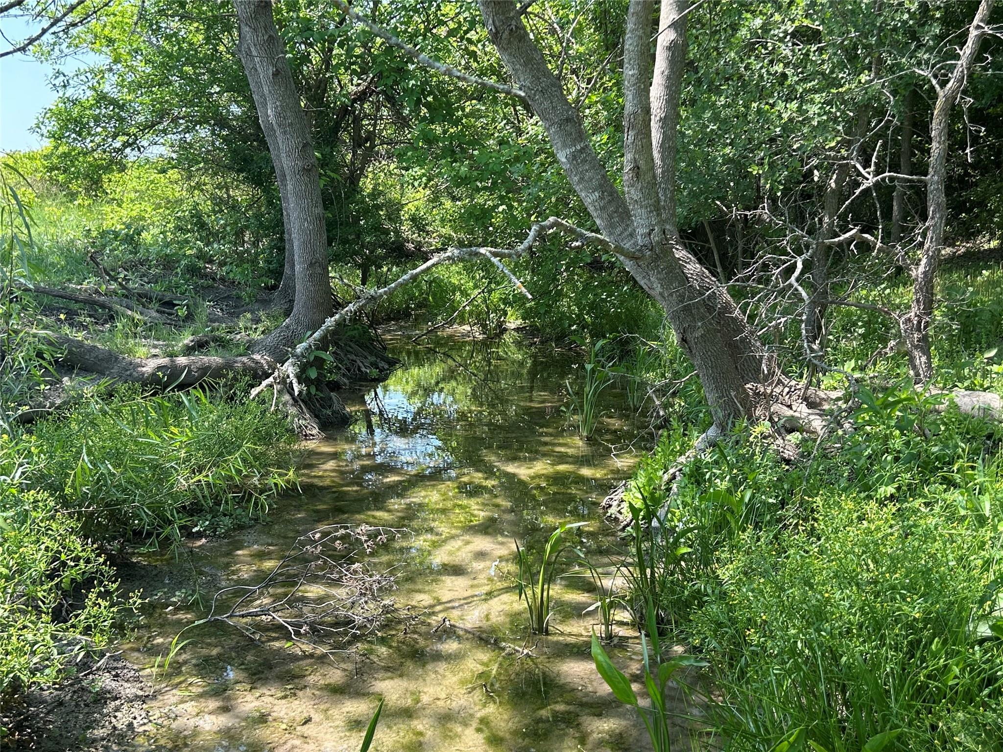TBD Pecan (Tract 4) Rd, Temple, TX 76579