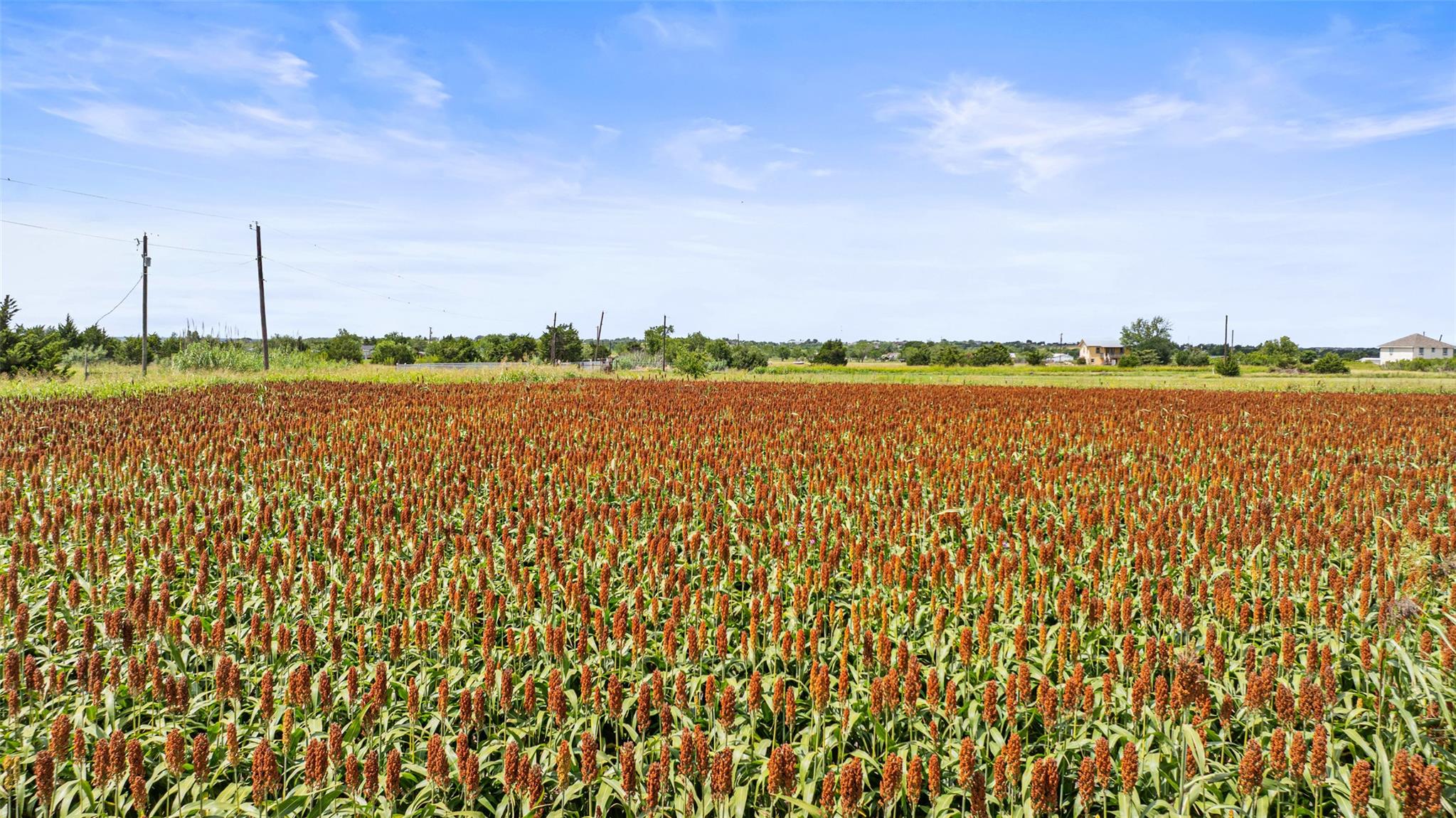 13201 Jacobson Rd # 14, Manor, TX 78653