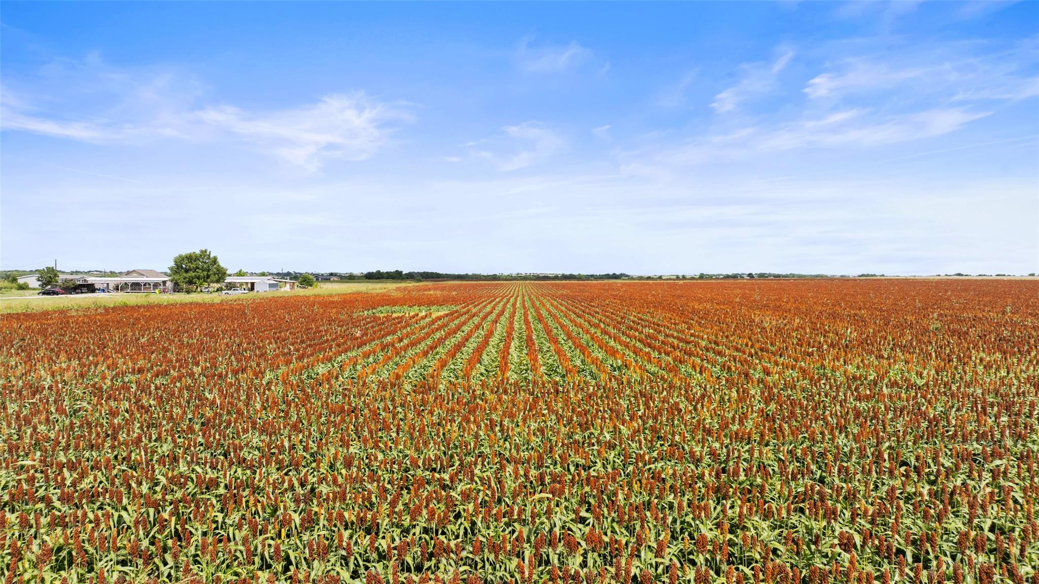 13201 Jacobson Rd # 14, Manor, TX 78653