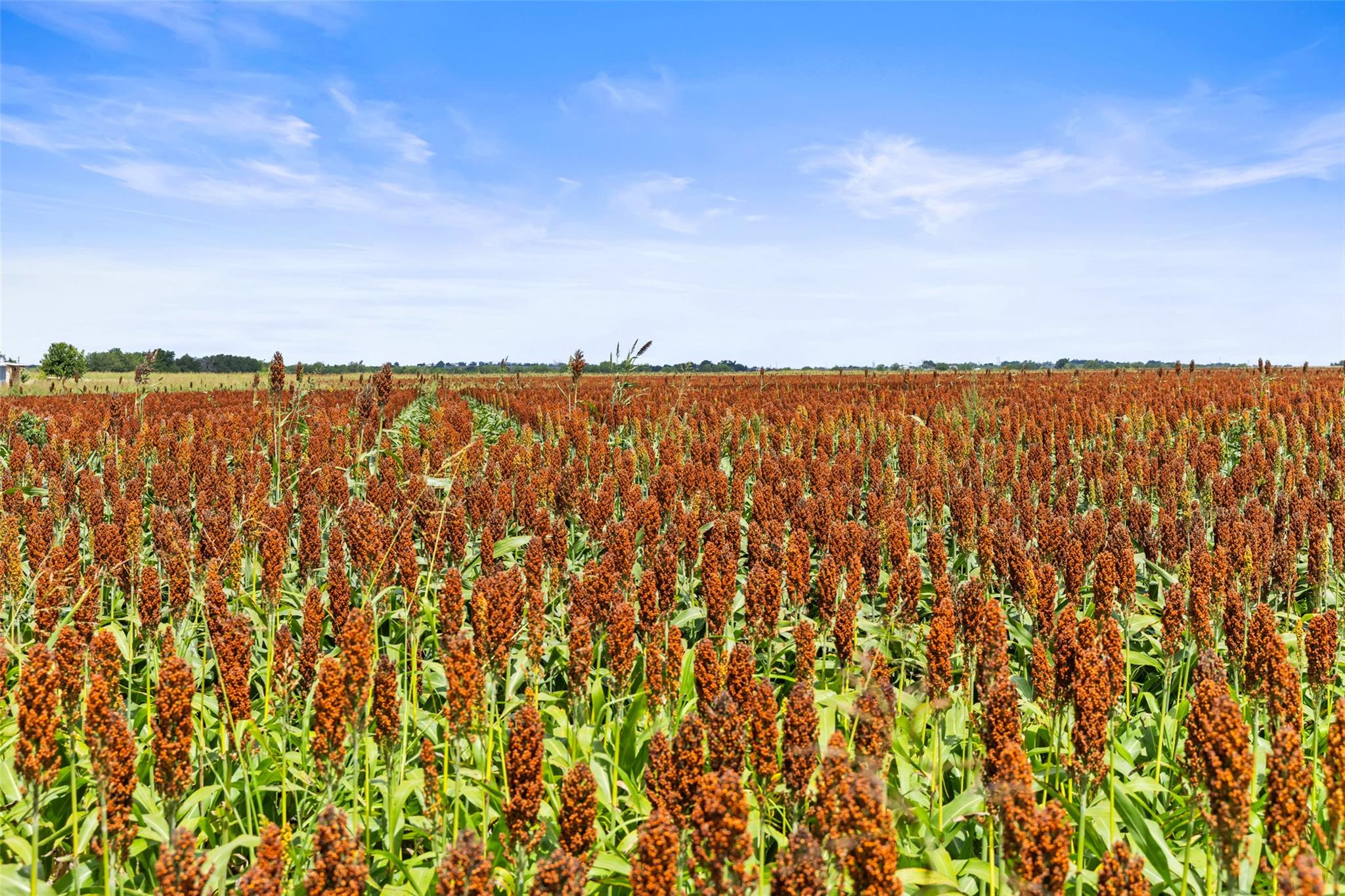 13201 Jacobson Rd # 14, Manor, TX 78653