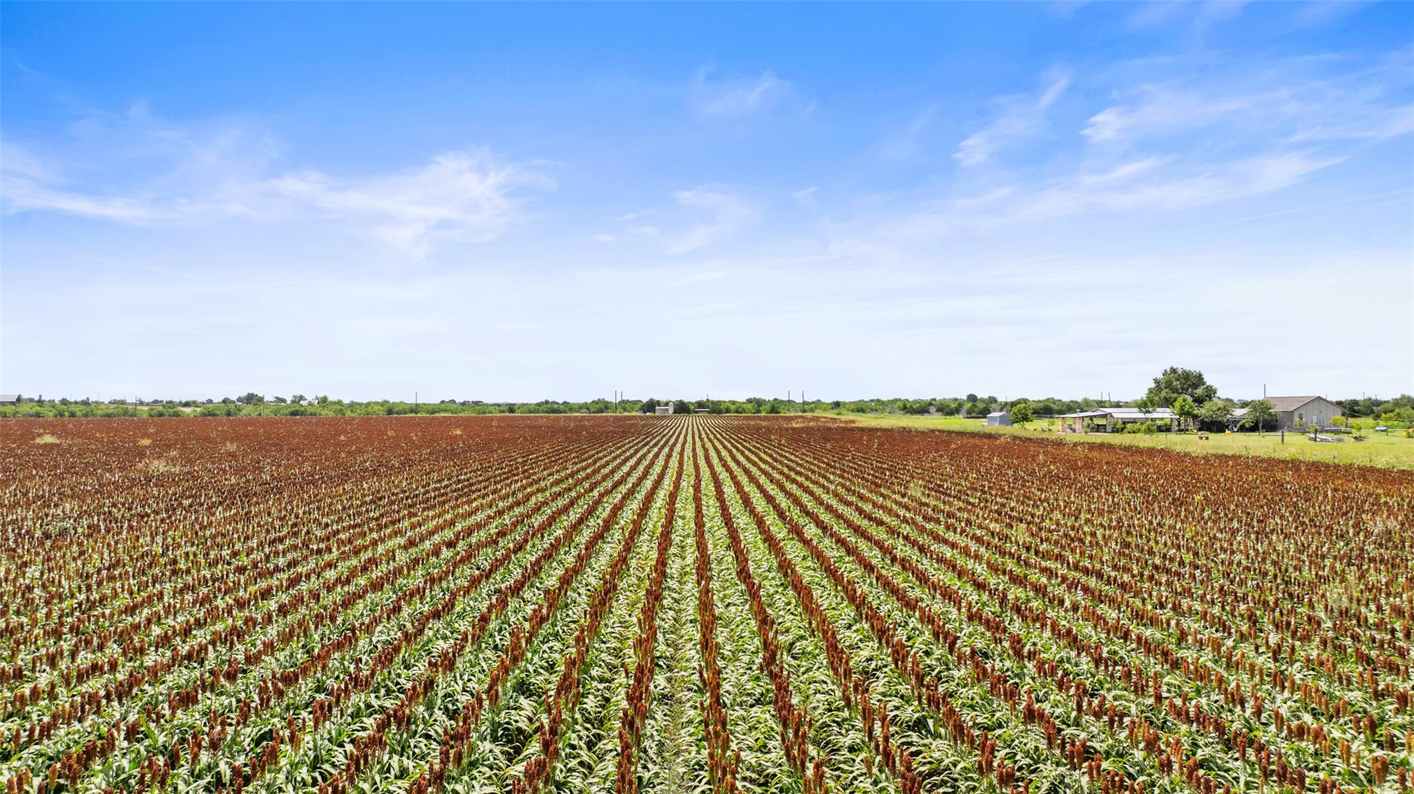 13201 Jacobson Rd # 14, Manor, TX 78653