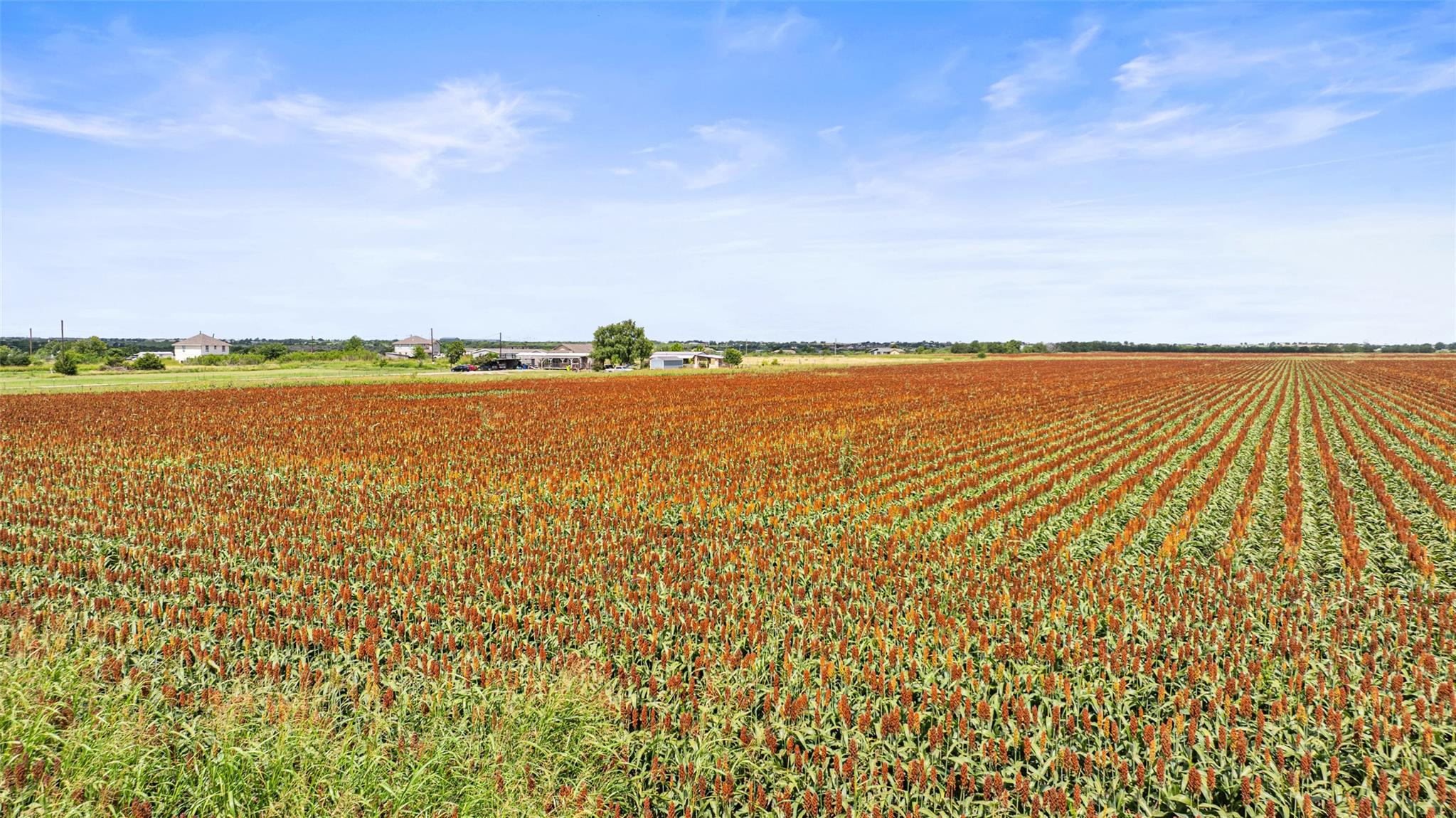 13201 Jacobson Rd # 14, Manor, TX 78653