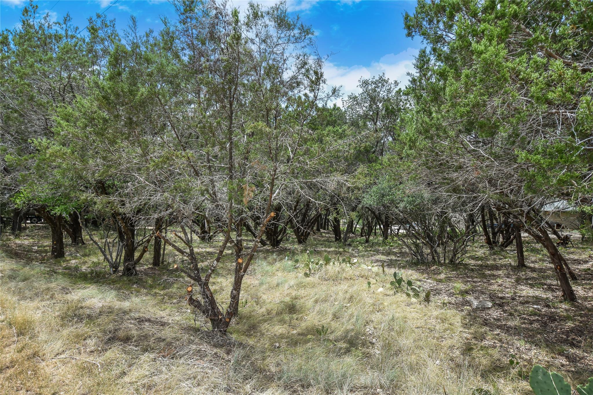 TBD Rimrock 937 Dr, Lago Vista, TX 78645