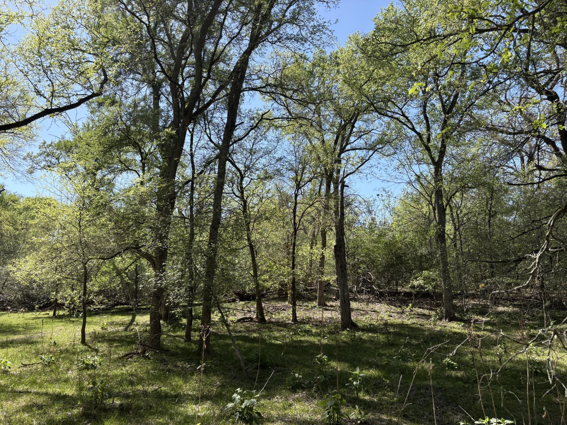 TBD ANCHOR RANCH Loop, Flatonia, TX 78941
