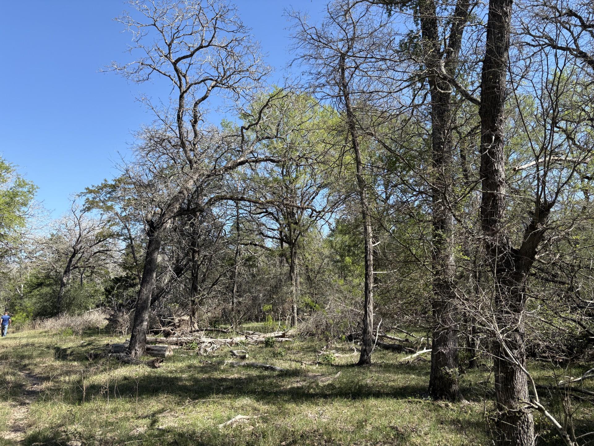 TBD ANCHOR RANCH Loop, Flatonia, TX 78941