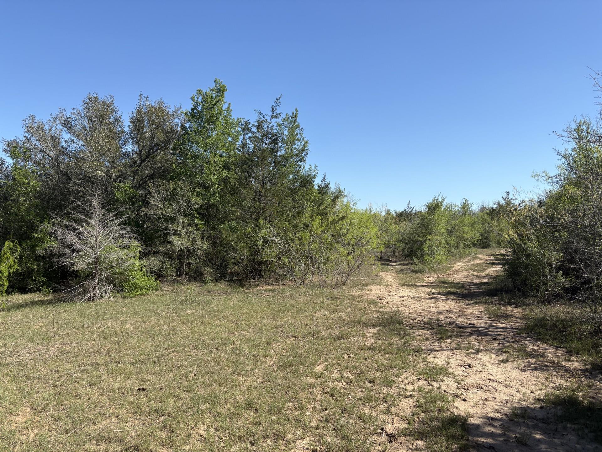 TBD ANCHOR RANCH Loop, Flatonia, TX 78941