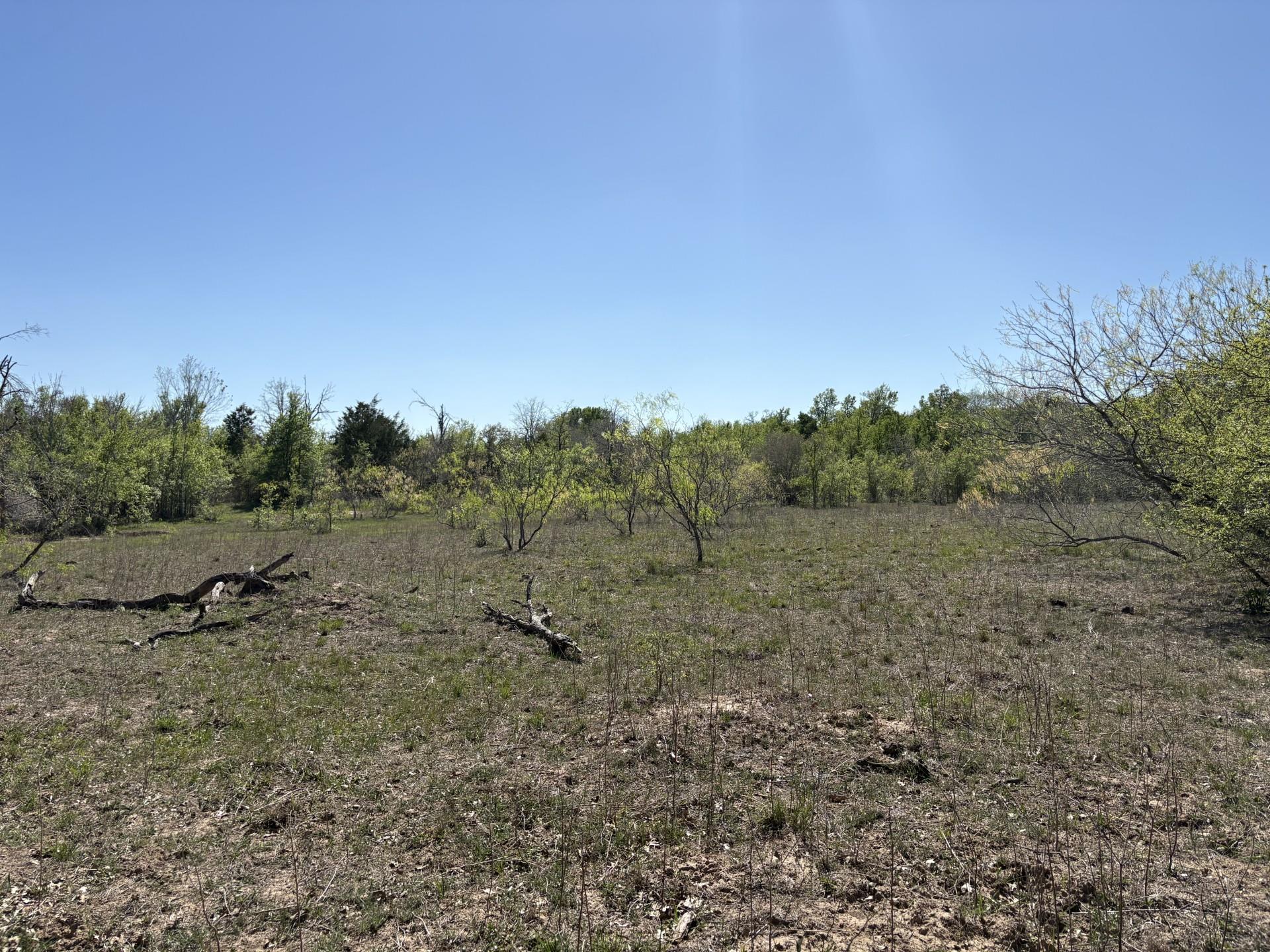 TBD ANCHOR RANCH Loop, Flatonia, TX 78941