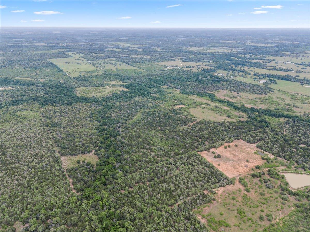 TBD 207.5 +/- ACRES ANCHOR RANCH Loop, Flatonia, TX 78941