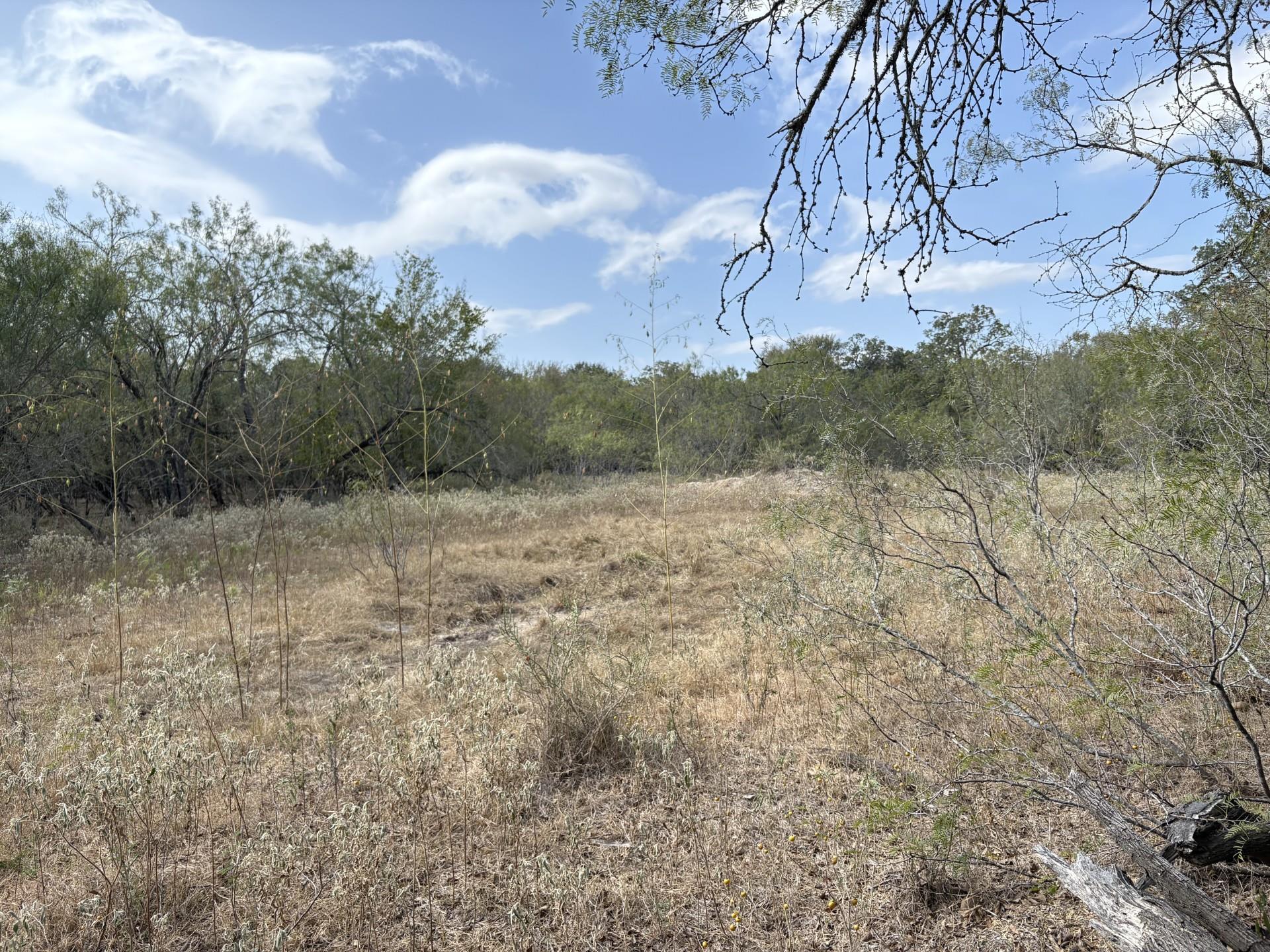 TBD 207.5 +/- ACRES ANCHOR RANCH Loop, Flatonia, TX 78941