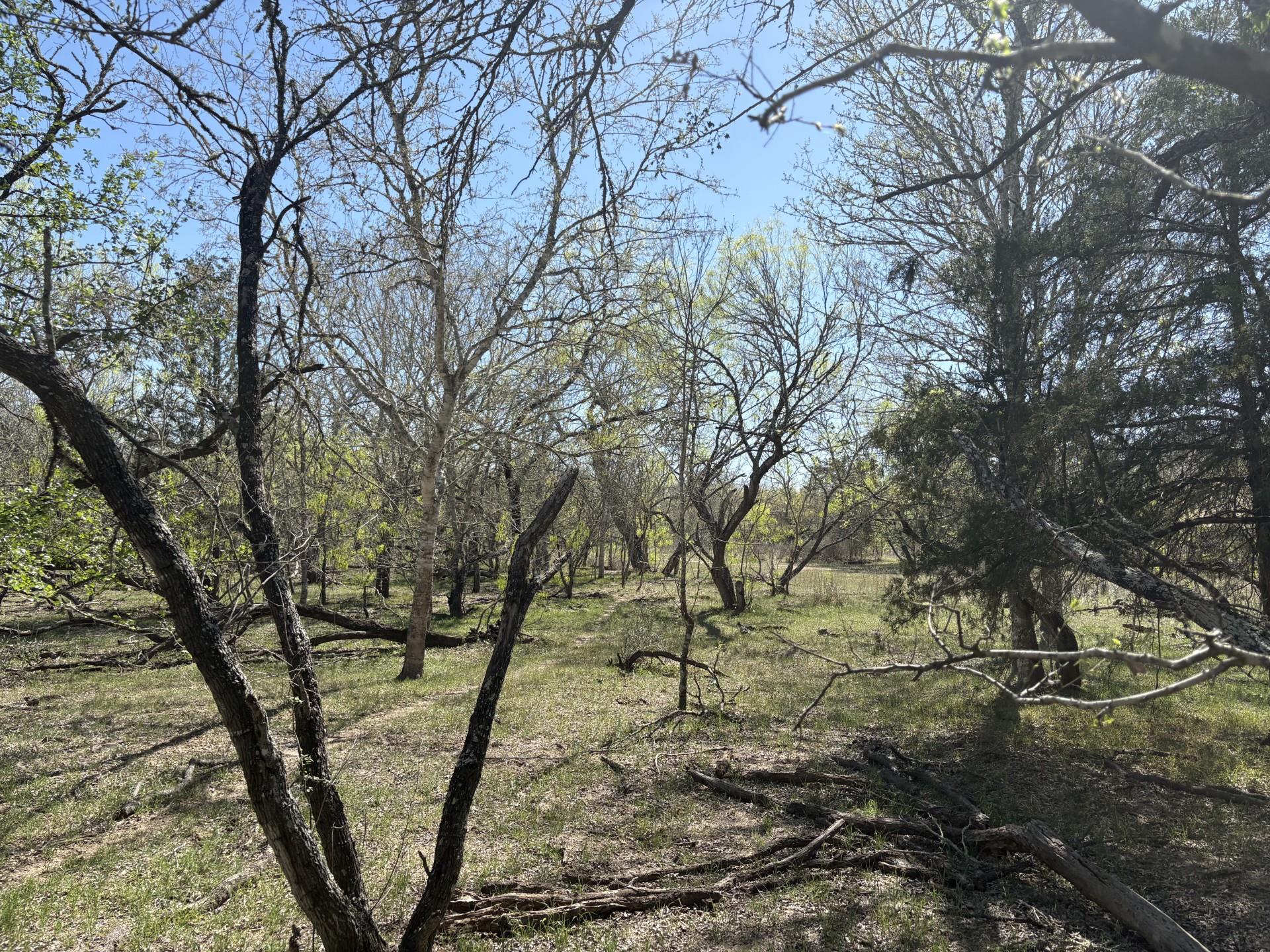 TBD ANCHOR RANCH Loop, Flatonia, TX 78941