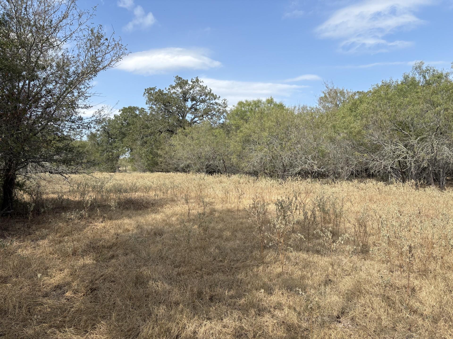 TBD 207.5 +/- ACRES ANCHOR RANCH Loop, Flatonia, TX 78941