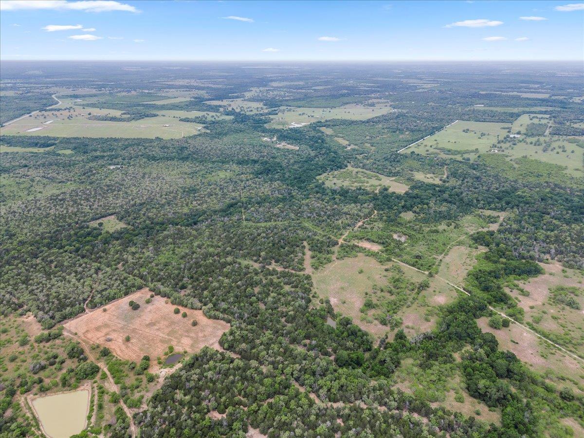 TBD 207.5 +/- ACRES ANCHOR RANCH Loop, Flatonia, TX 78941