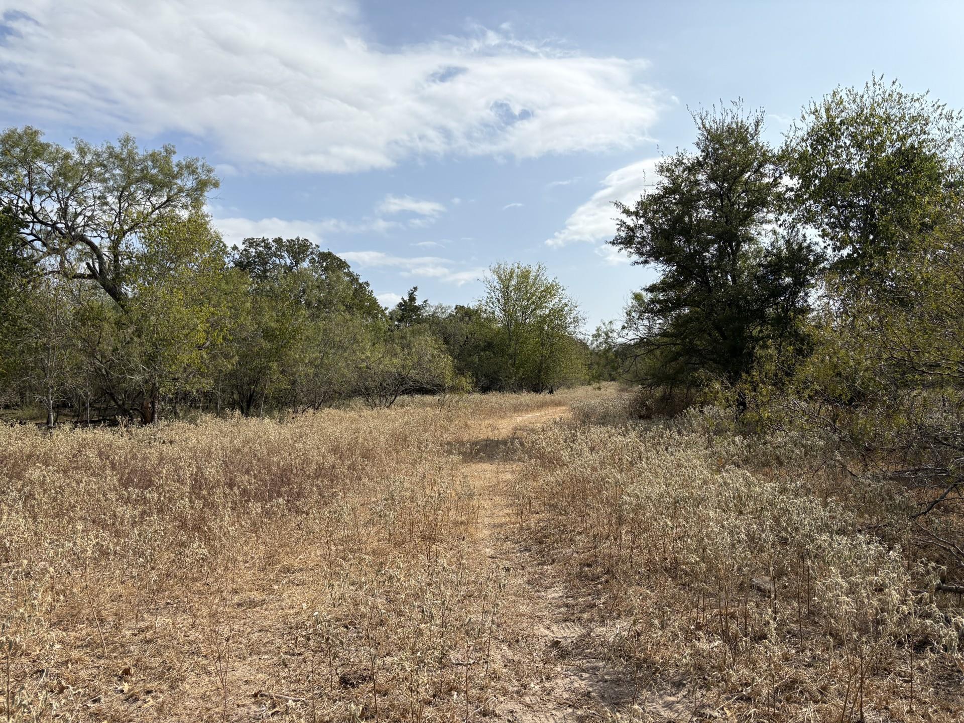 TBD 207.5 +/- ACRES ANCHOR RANCH Loop, Flatonia, TX 78941