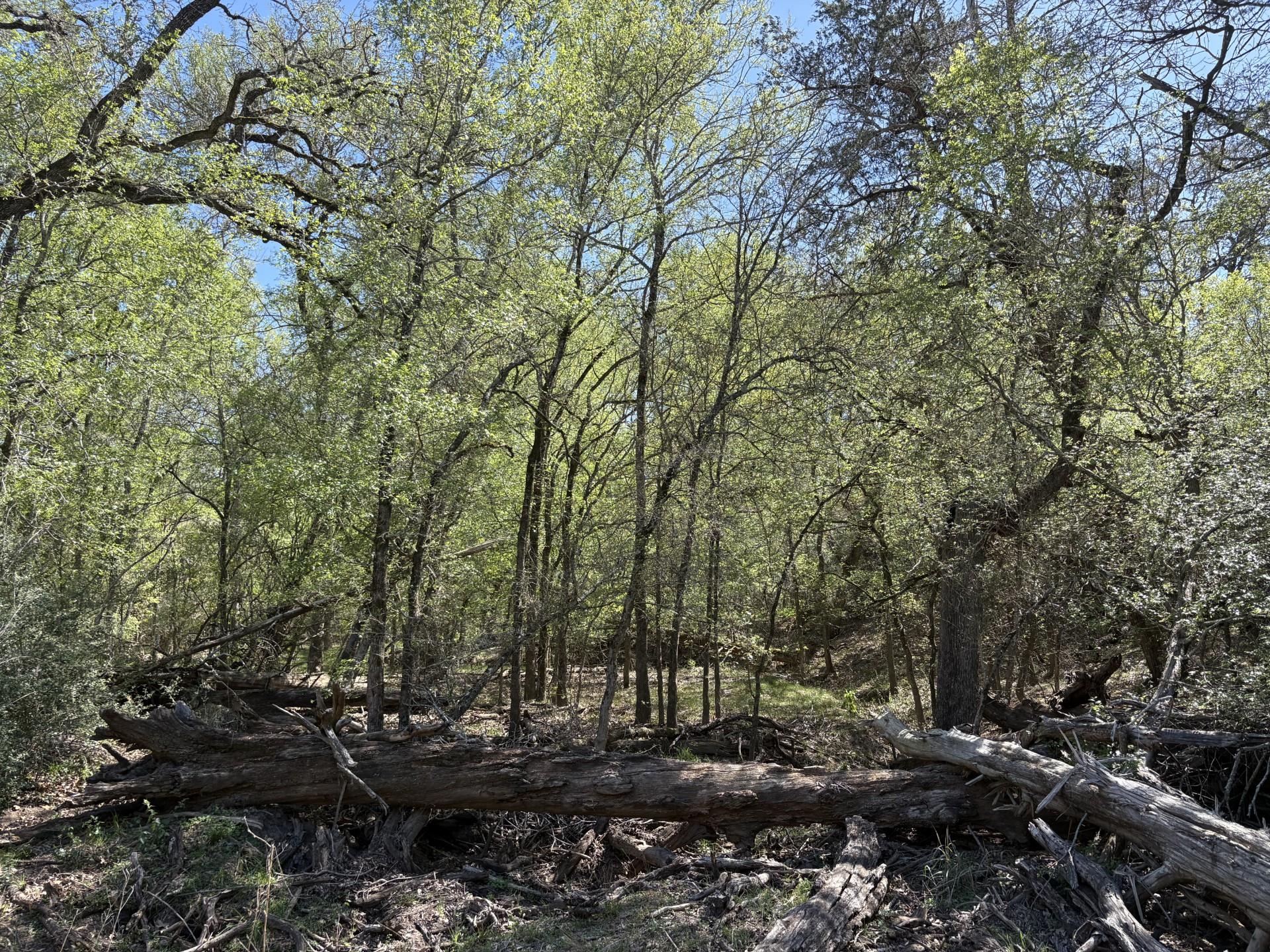 TBD ANCHOR RANCH Loop, Flatonia, TX 78941