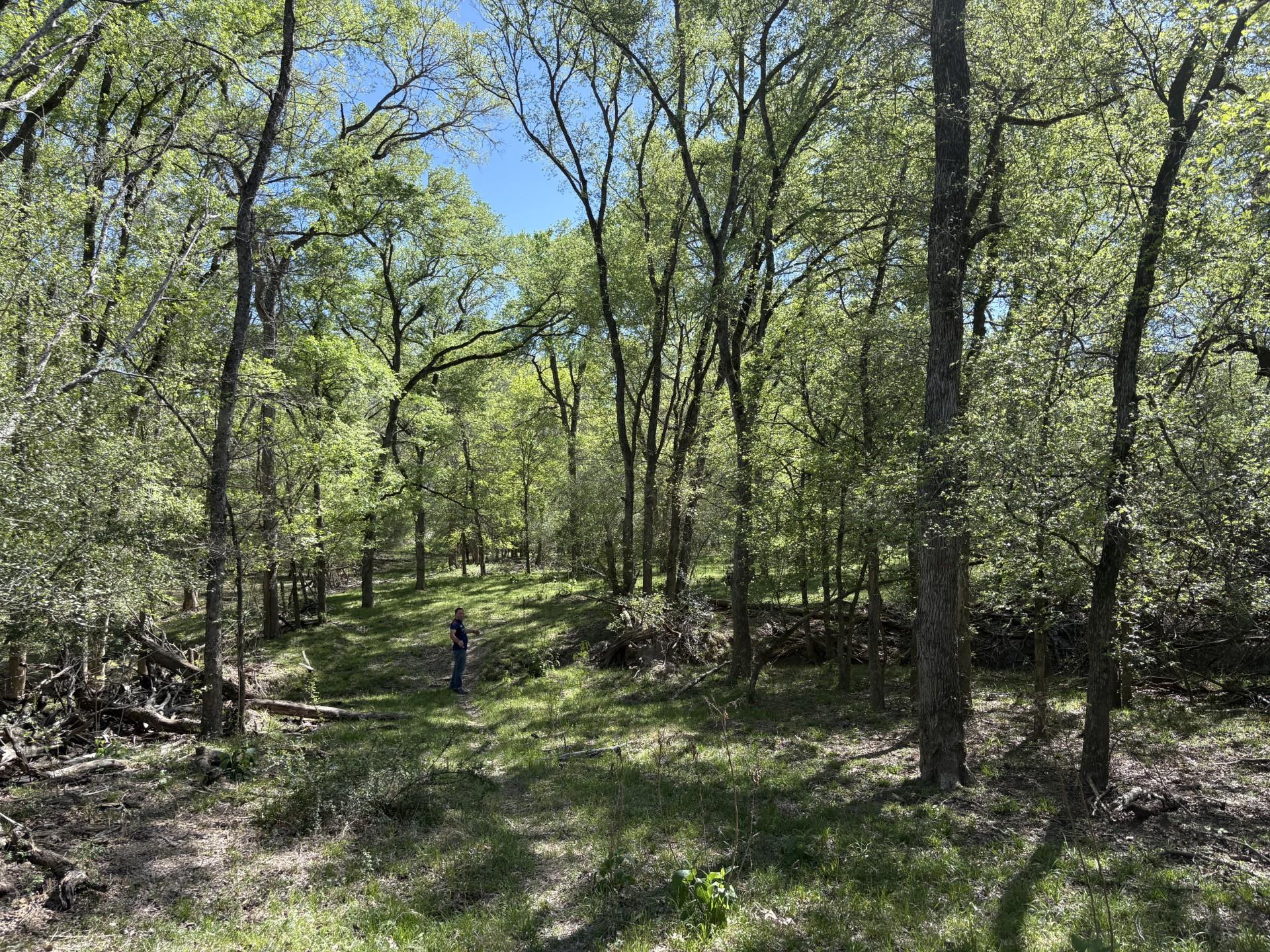 TBD ANCHOR RANCH Loop, Flatonia, TX 78941