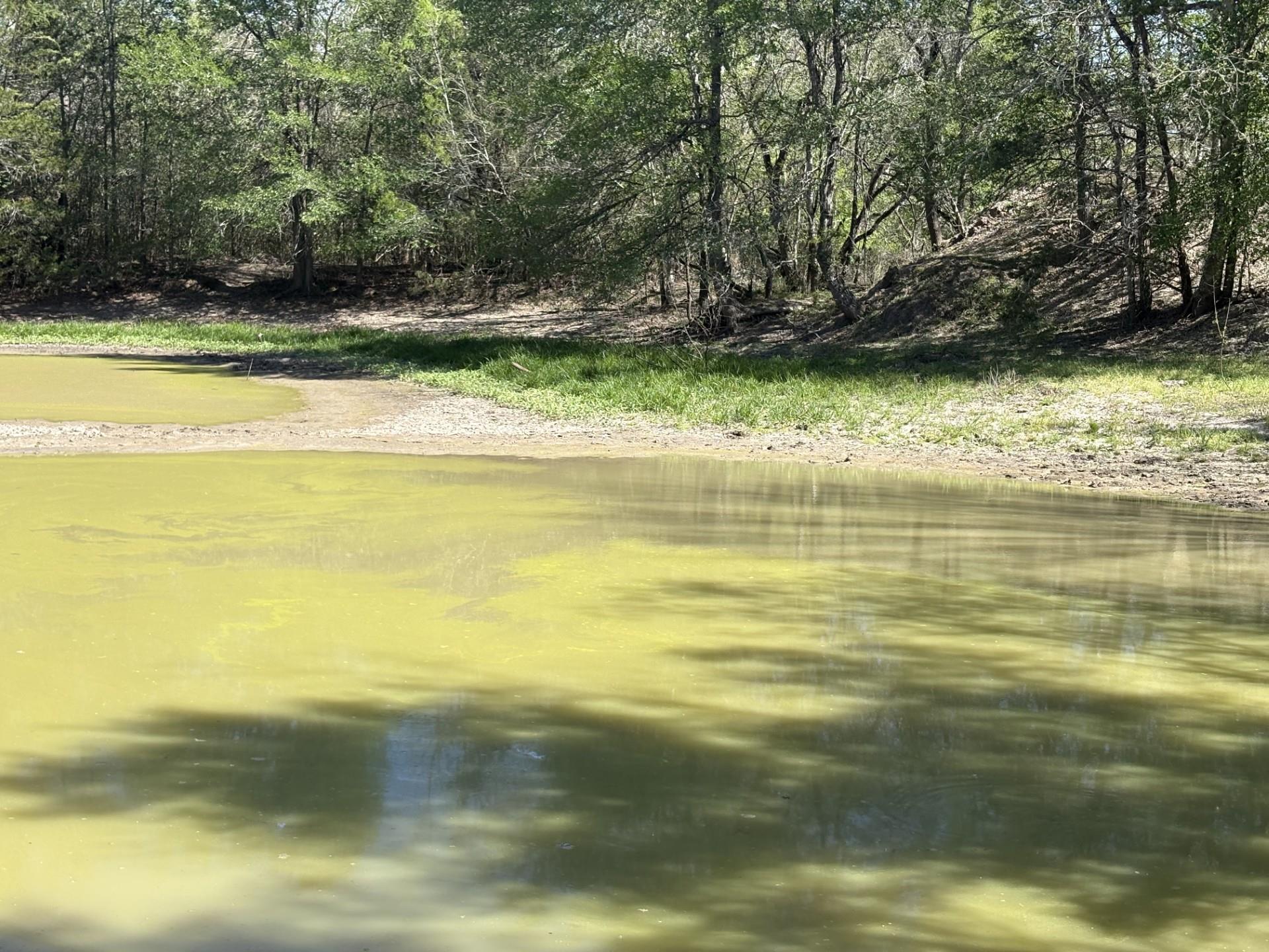 TBD ANCHOR RANCH Loop, Flatonia, TX 78941