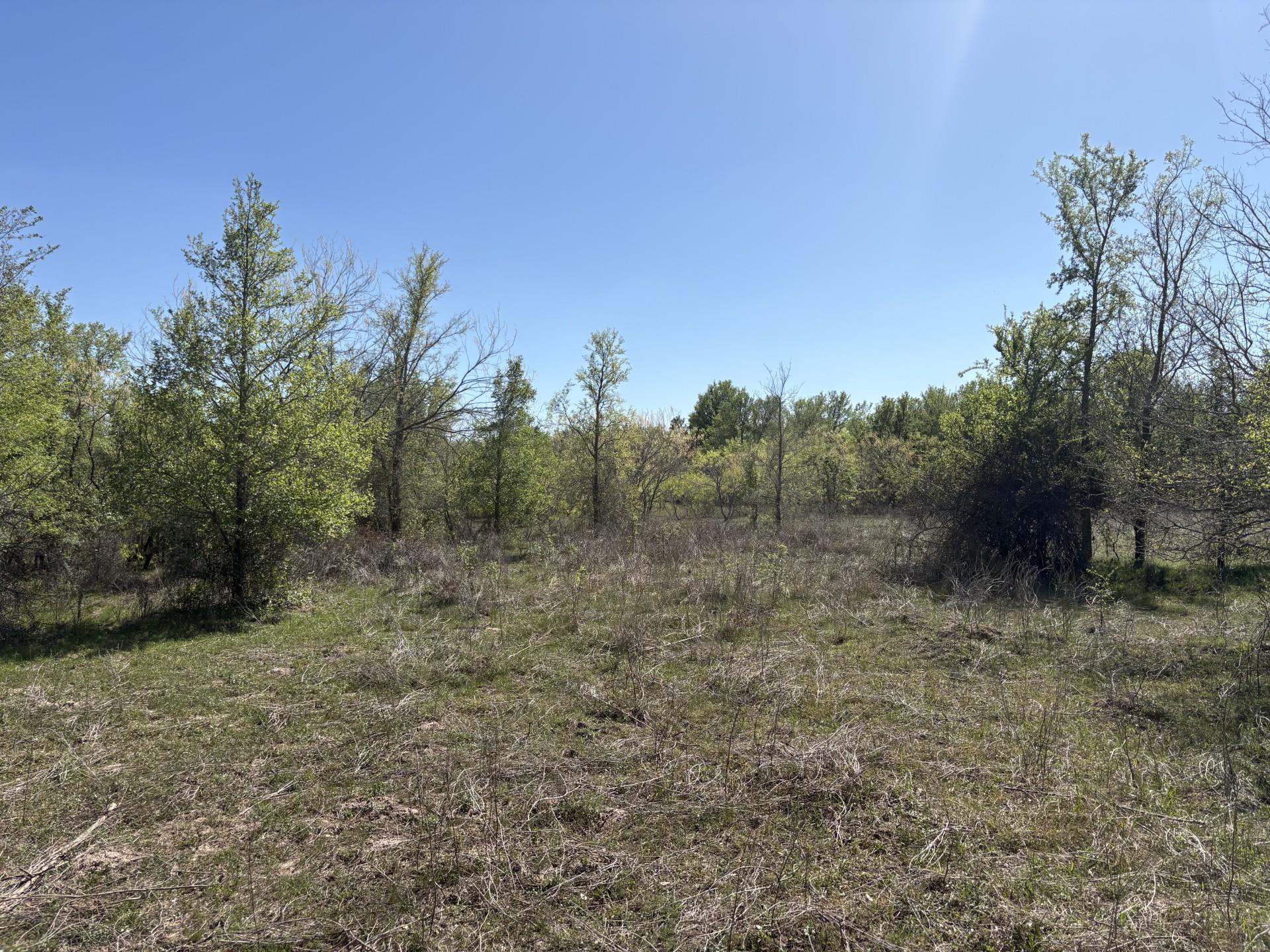 TBD ANCHOR RANCH Loop, Flatonia, TX 78941