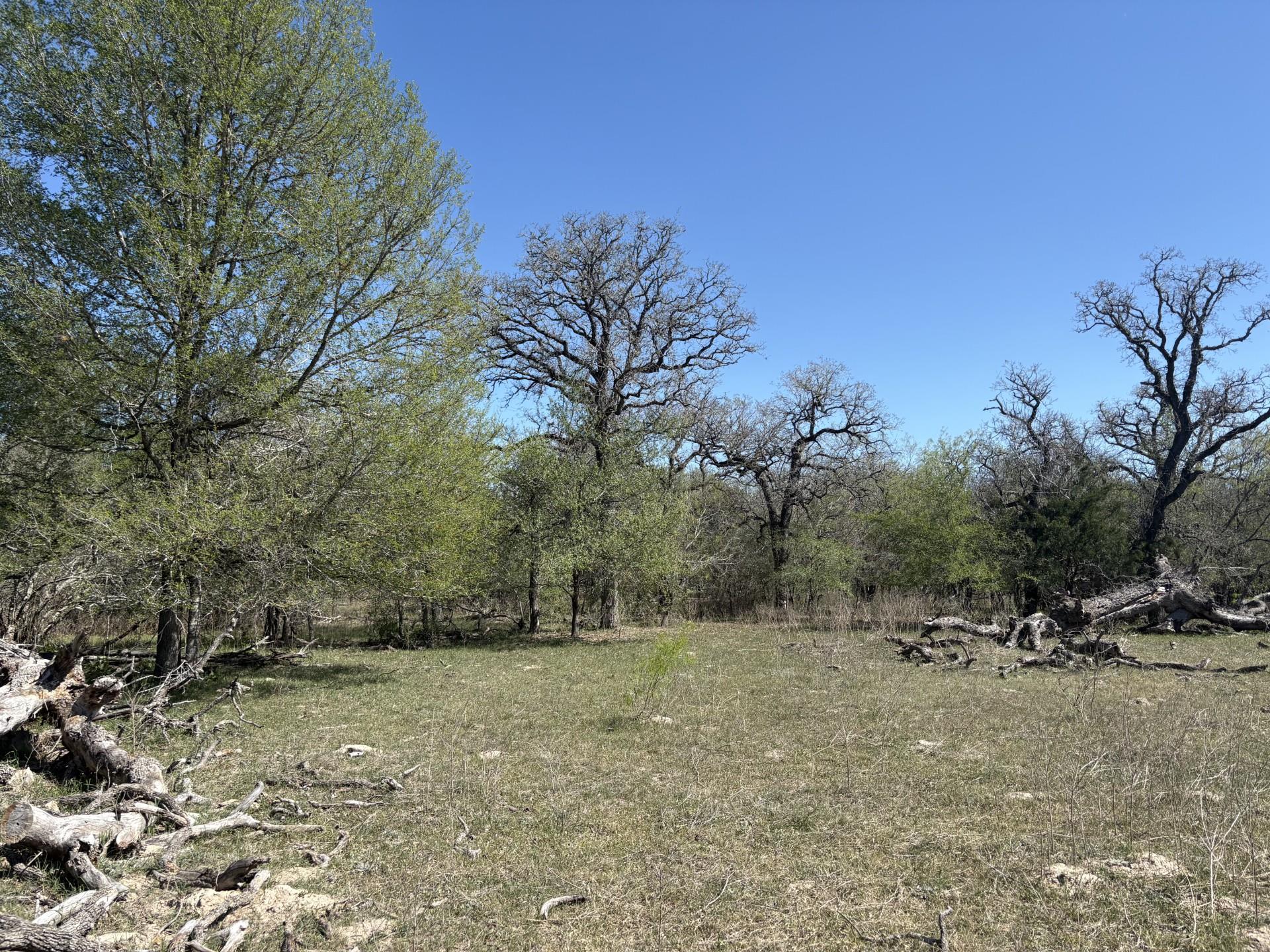 TBD ANCHOR RANCH Loop, Flatonia, TX 78941