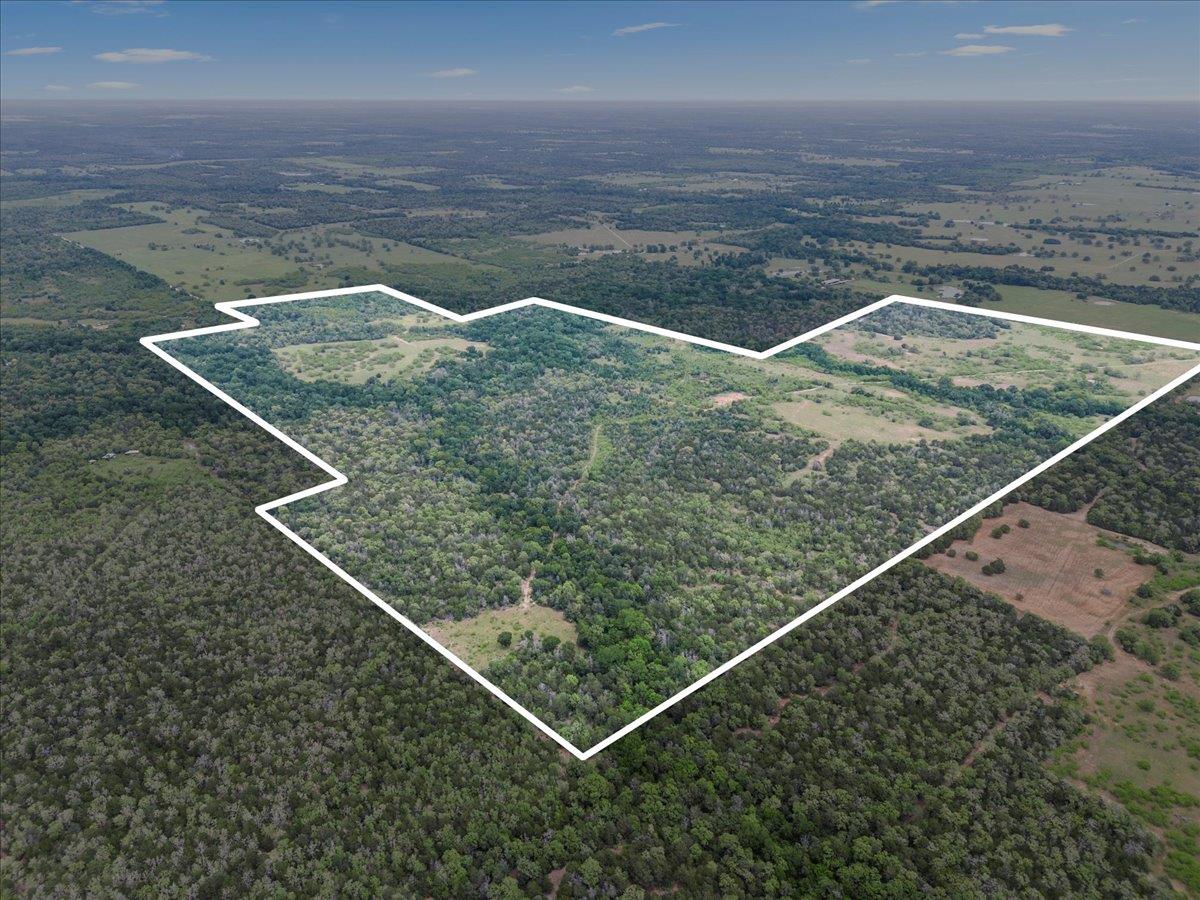 TBD 207.5 +/- ACRES ANCHOR RANCH Loop, Flatonia, TX 78941
